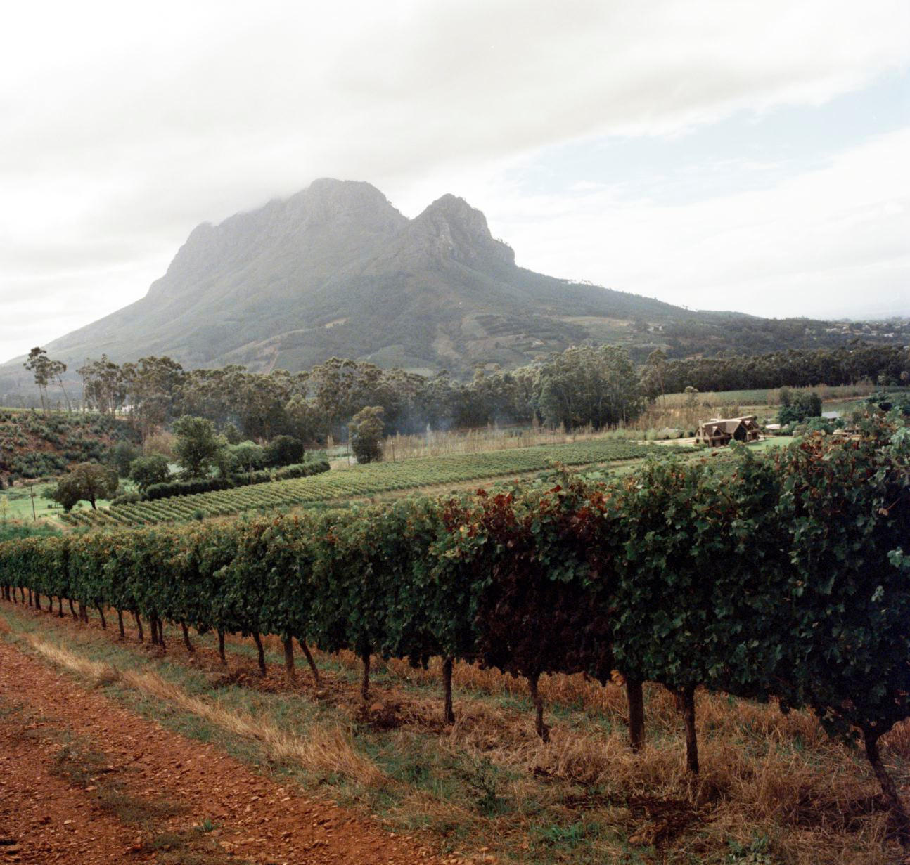 South-Africa_Oldenburg_Jason-Lowe-Film (7)