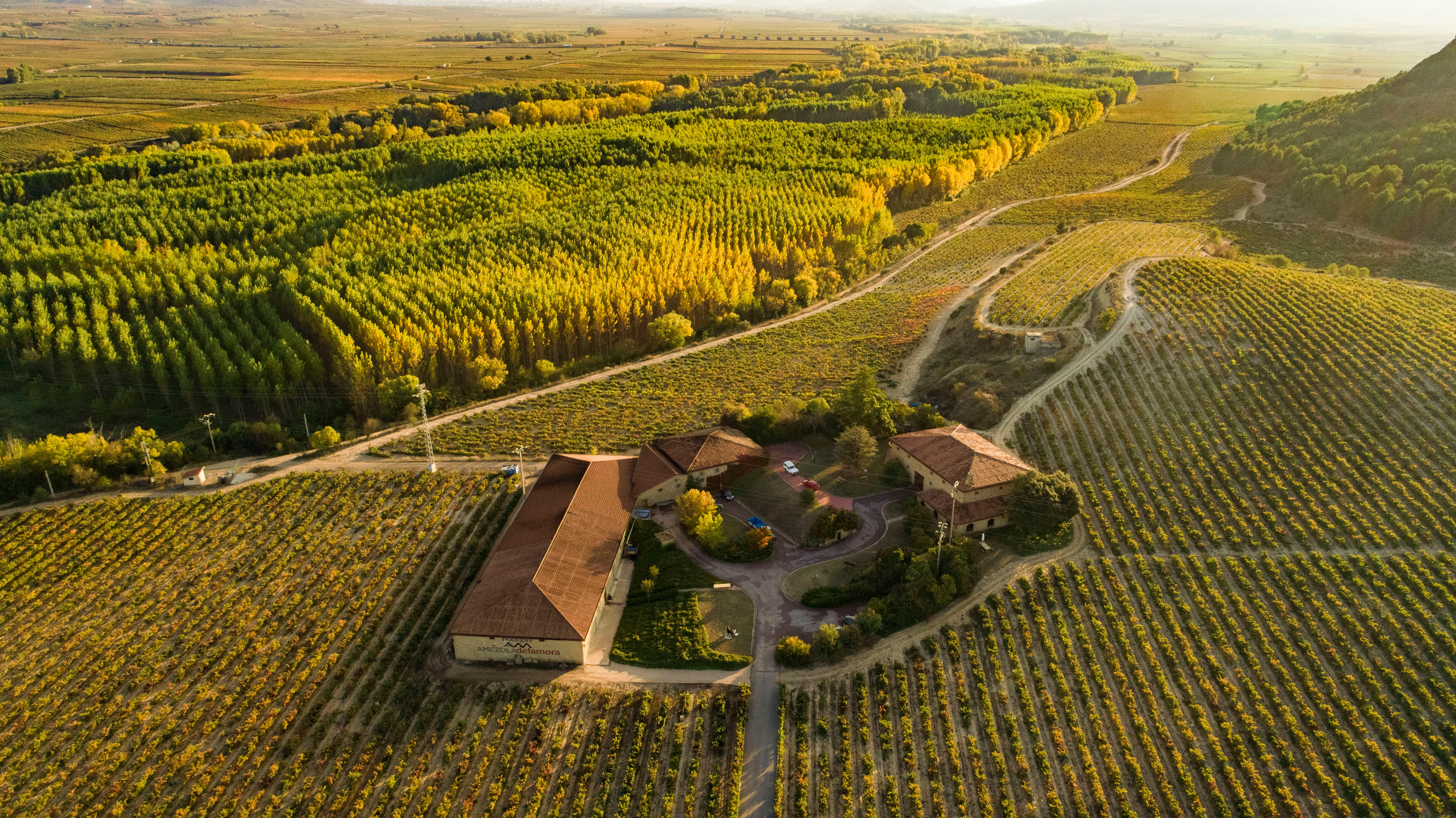 Historic Bodegas Amezola de la Mora estate in Rioja, featuring traditional stone architecture surrounded by high-altitude vineyards under a clear sky.