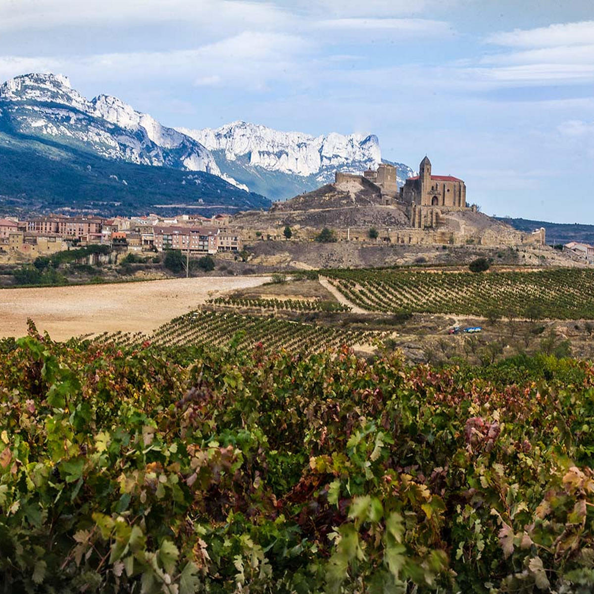 A photo of the vineyards of Vega Sicilia, with a village on a hilltop in the background, set amid snow-capped mountain peaks. 