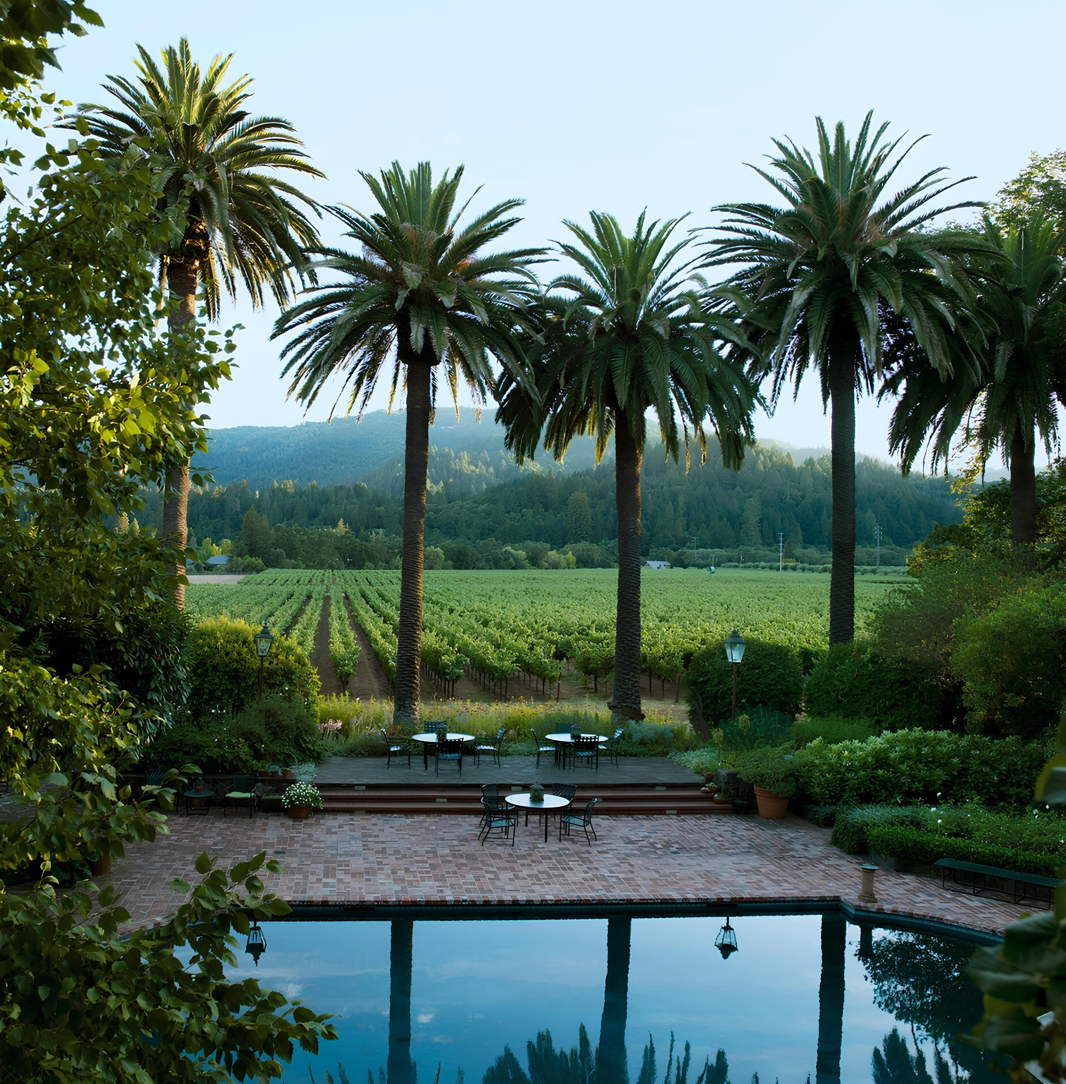 Spottswoode Estate vineyard at the foot of the Mayacamas Mountains, Napa Valley, with sunlit rows of Cabernet Sauvignon vines and a clear blue sky.