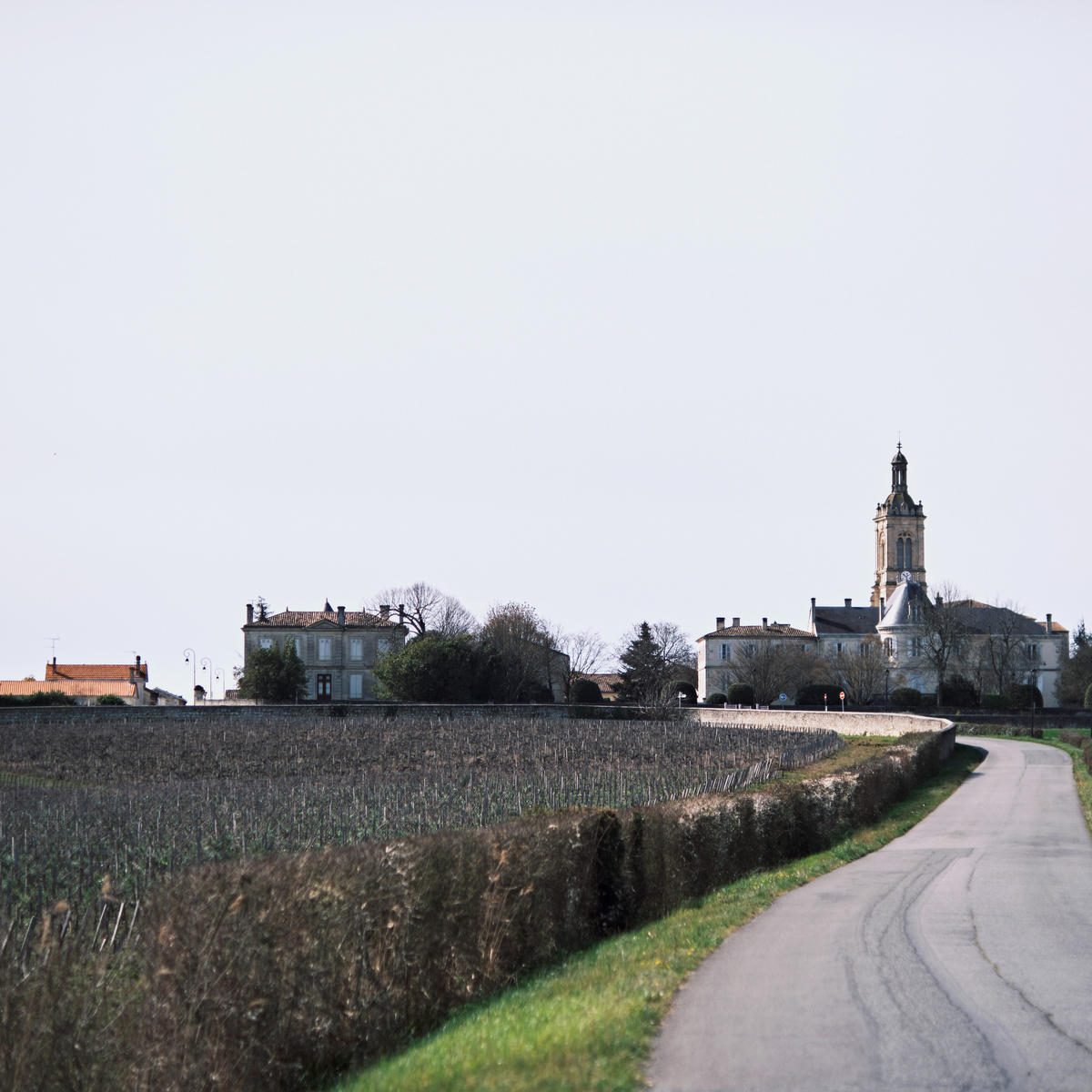 The road approaching the village of St Estèphe, where some excellent reds were made in 2021.
