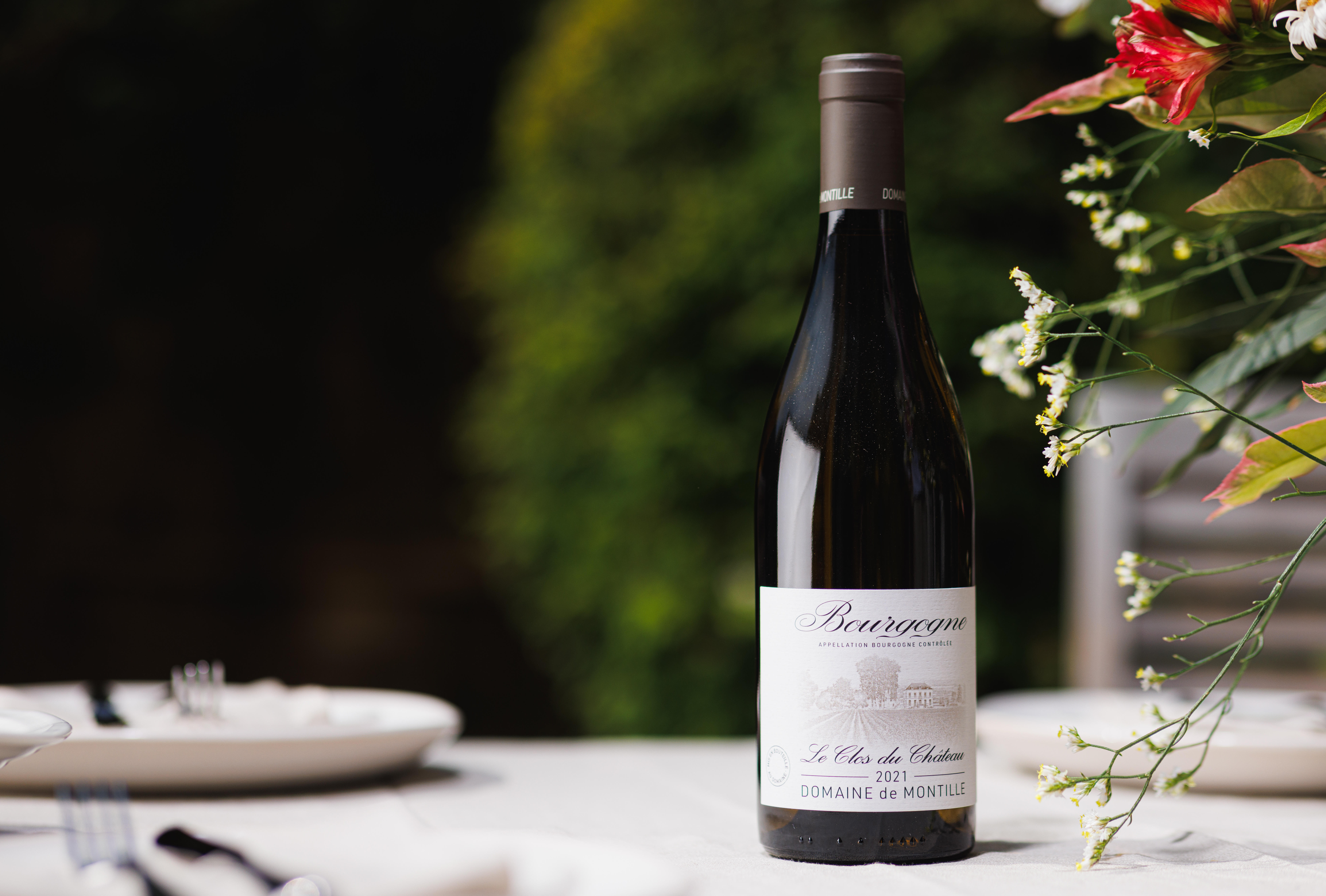 Summer-photoshoot-2025-Bourgogne-le-clos-du-chateau-2021-domaine-de-montille-4