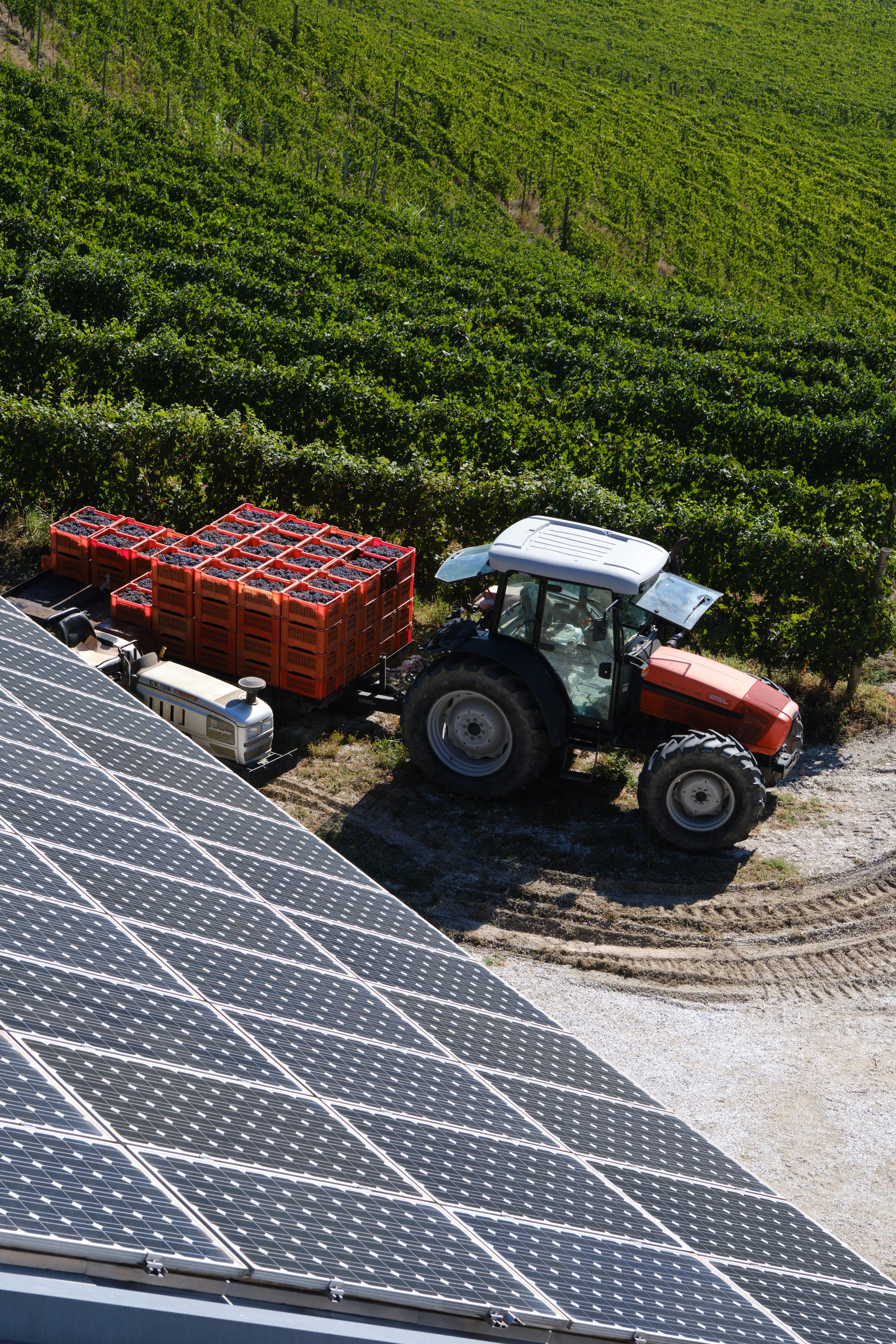 Climate change in Piedmont Berry Bros. & Rudd
