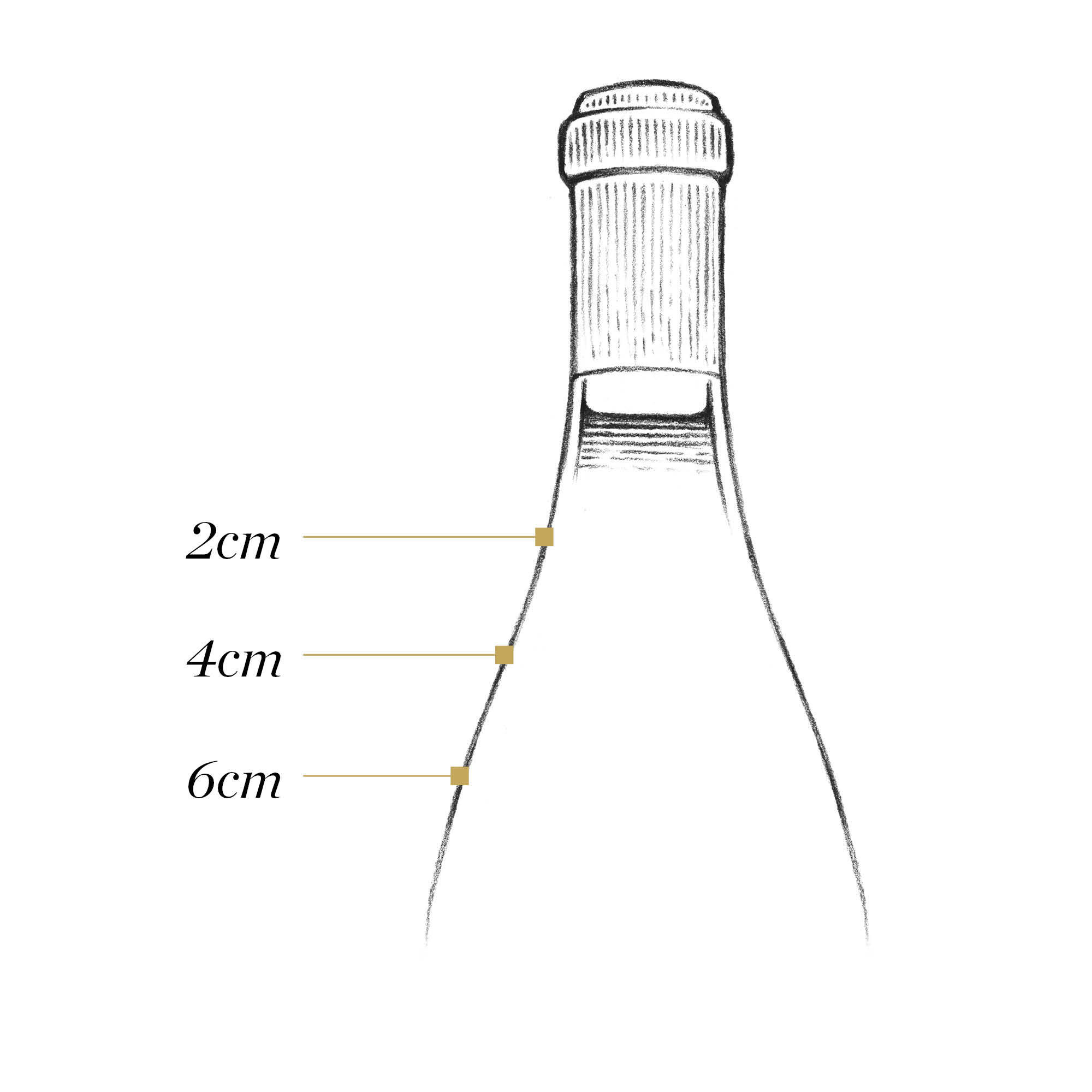 Ullage_Burgundy-Bottle