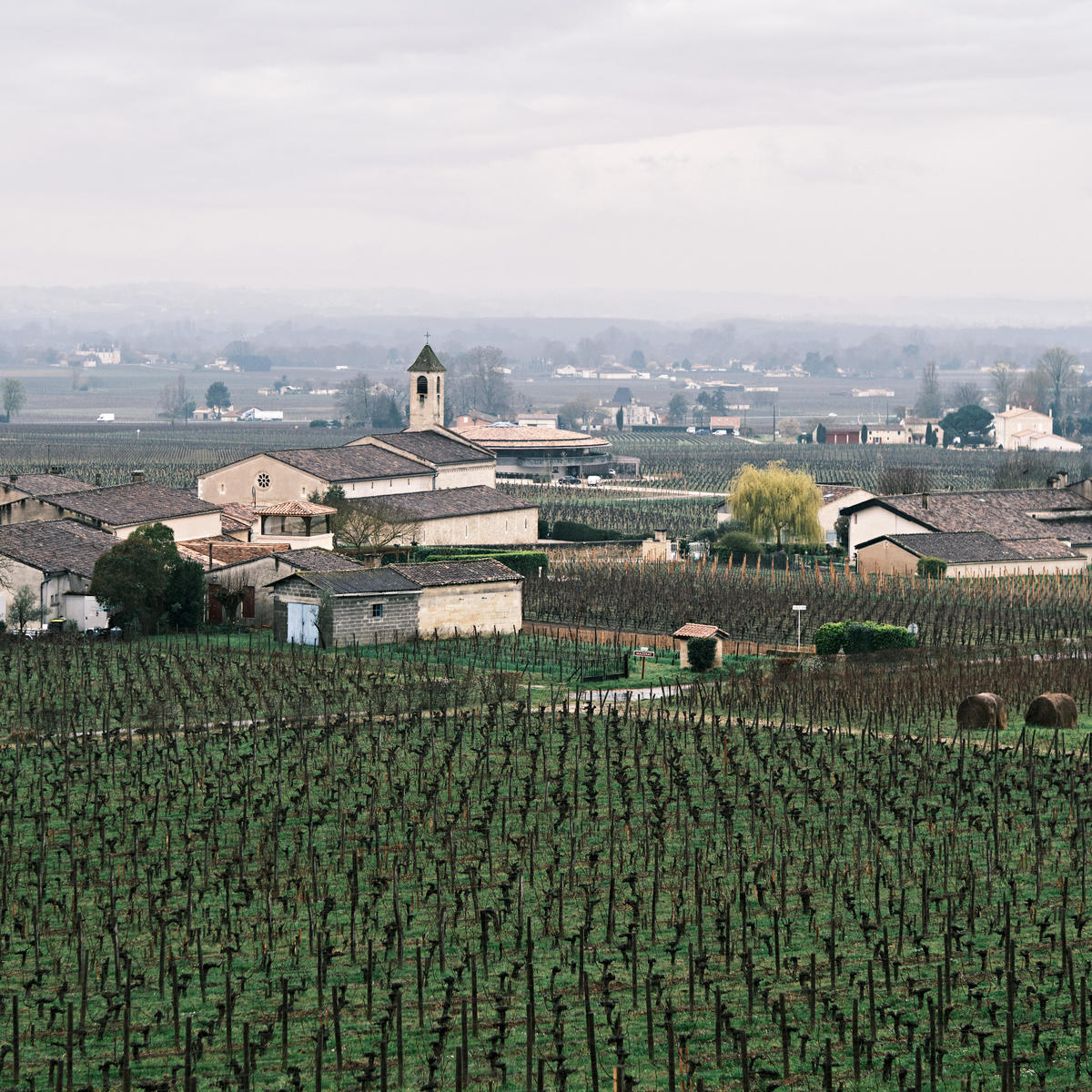 Tasting the 2021 St Emilion and Pomerol vintages included a visit at Château Beauséjour héritiers Duffau-Lagarrosse