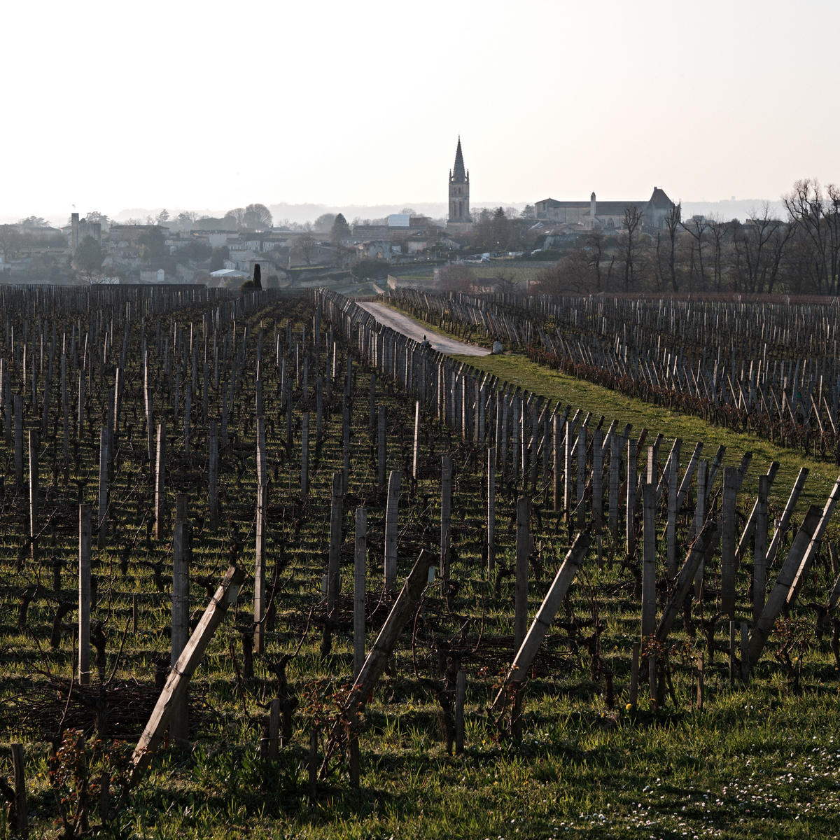 Bordeaux 2021