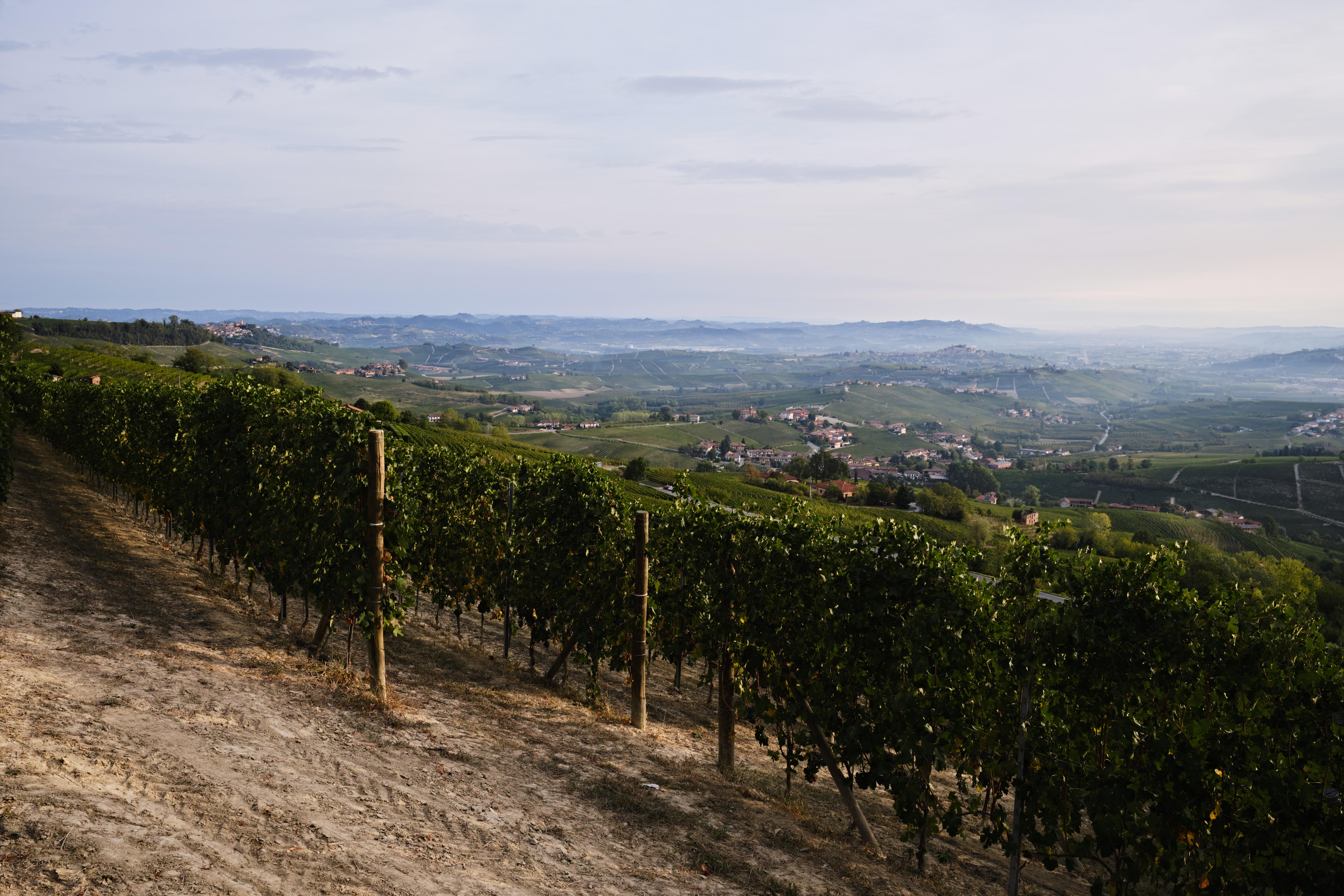 View-looking-east-from-La-Morra-4_Barolo_Italy-2022_Jason-Lowe_Hero_Barolo-2019