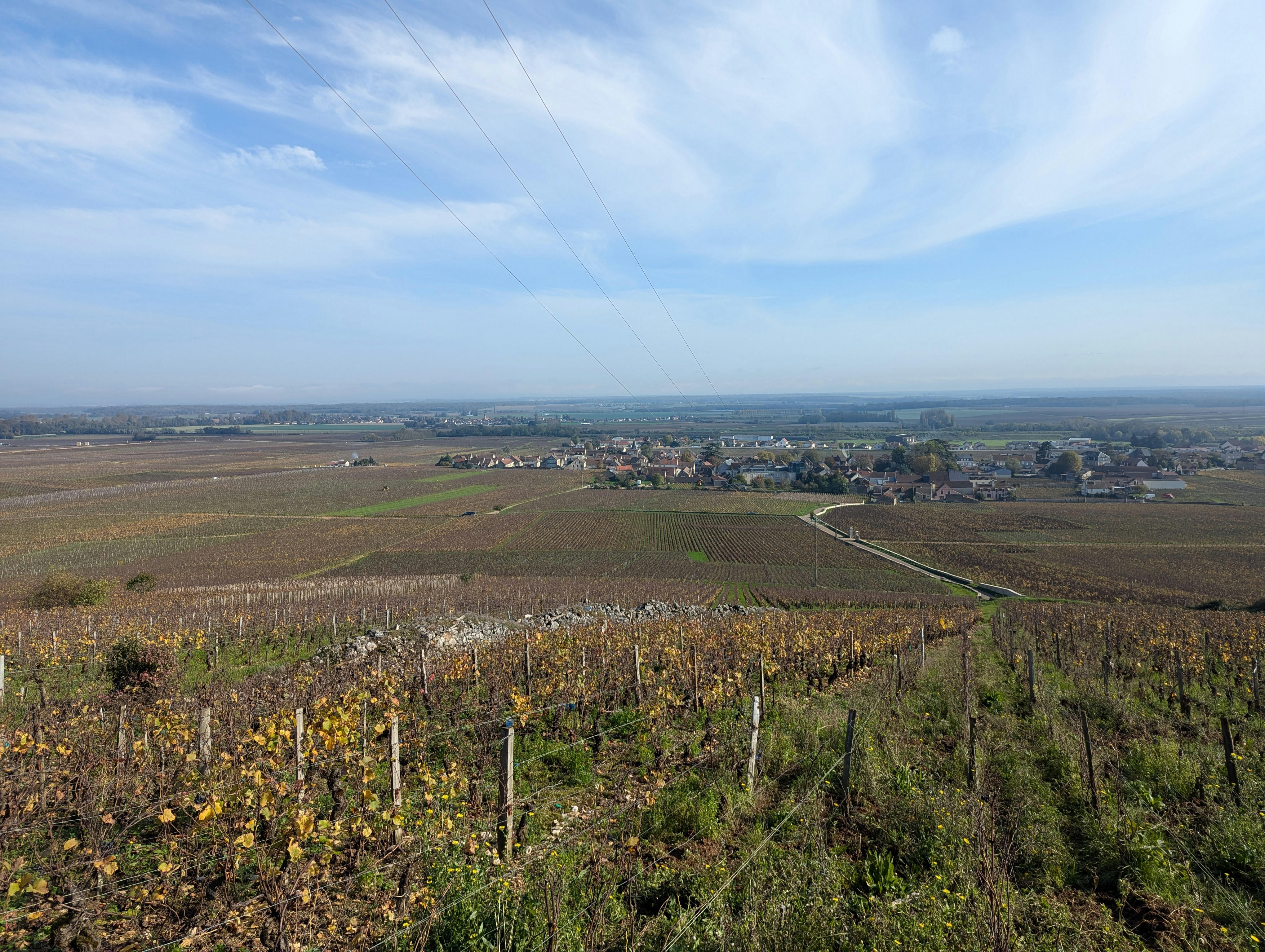 Vosne-Romanee-with-Romanee-Conti-on-Left-and-Grande-Rue-on-Right-of-road