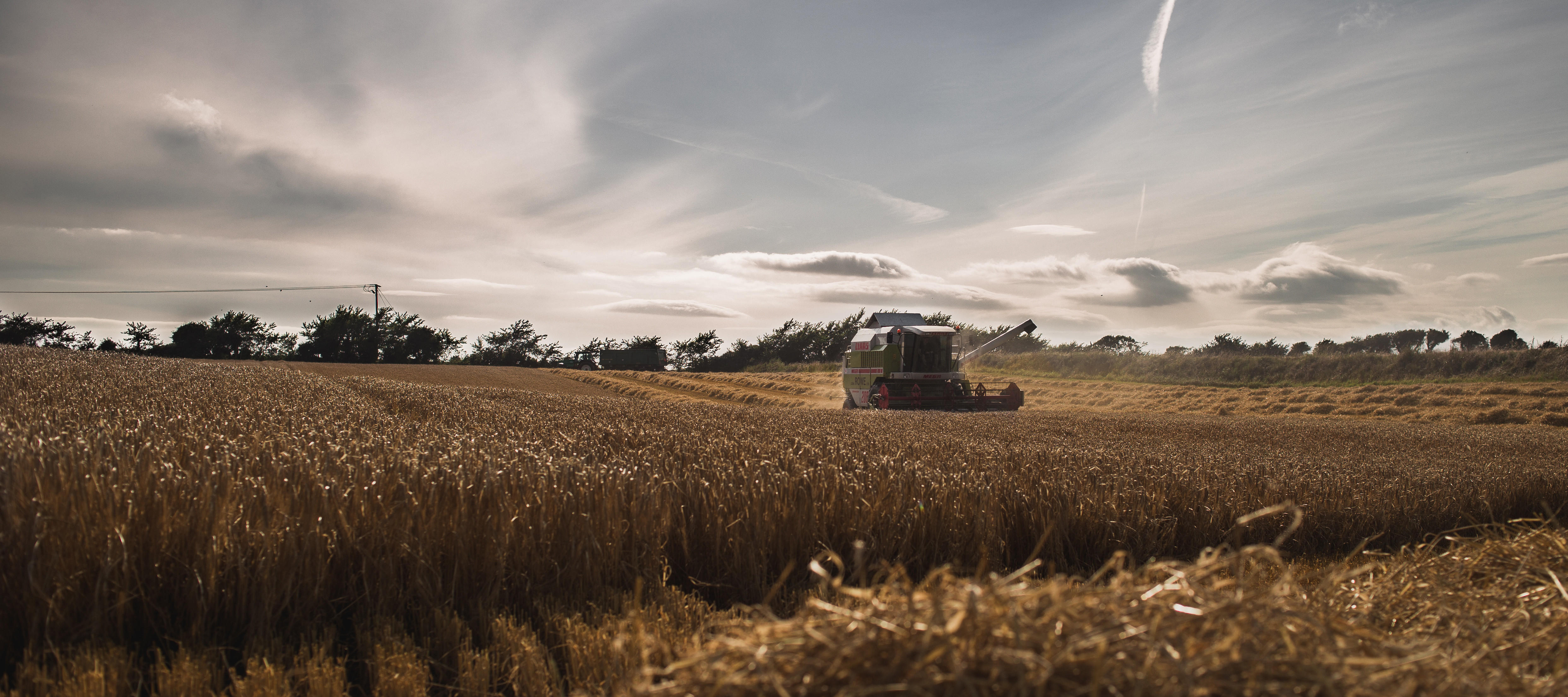 Waterford-article-image-2-desktop