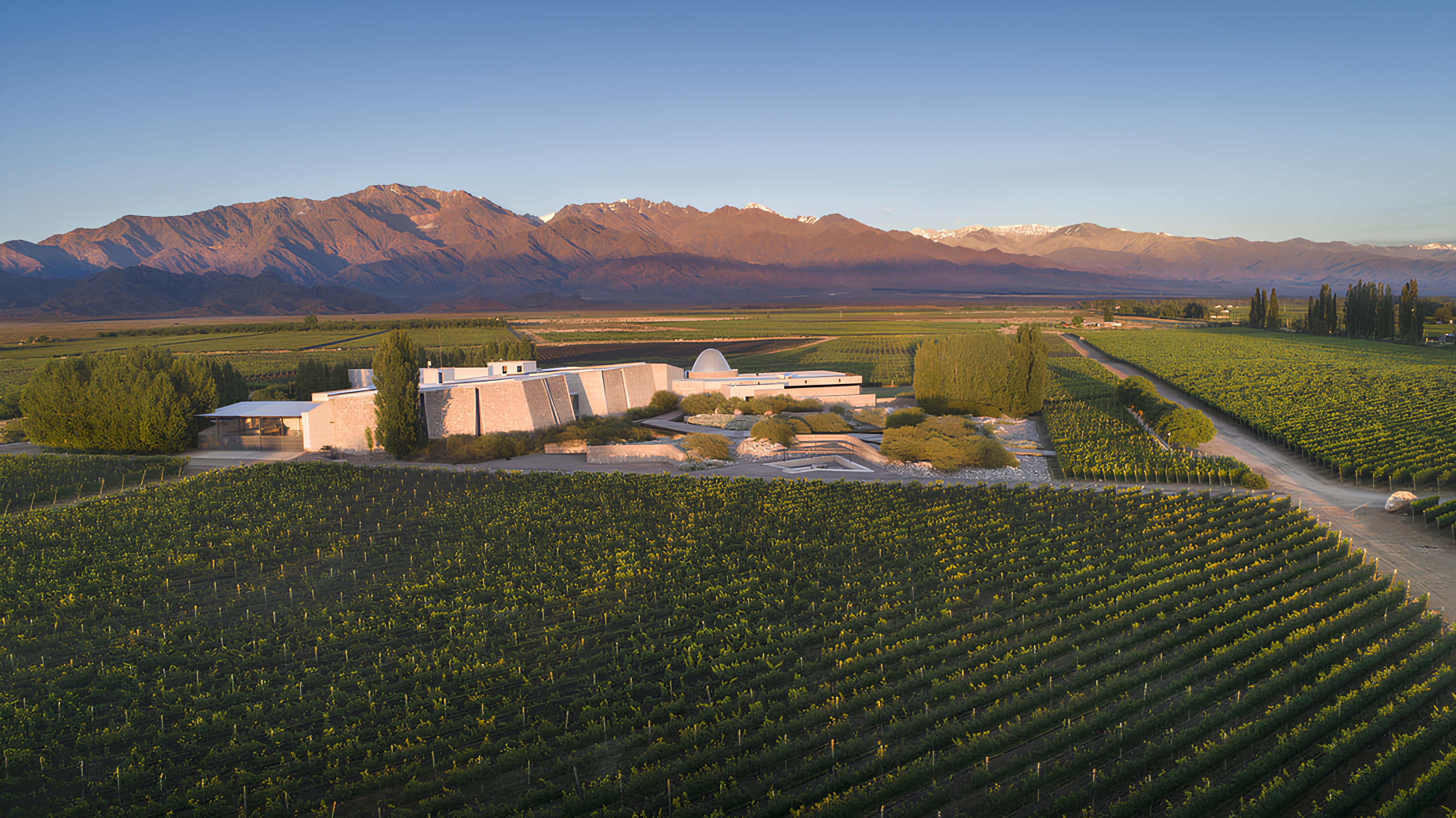 洋書 a ultima PEDRA 2017 Zuccardi, Finca Piedra Infinita, Paraje Altamira, Mendoza