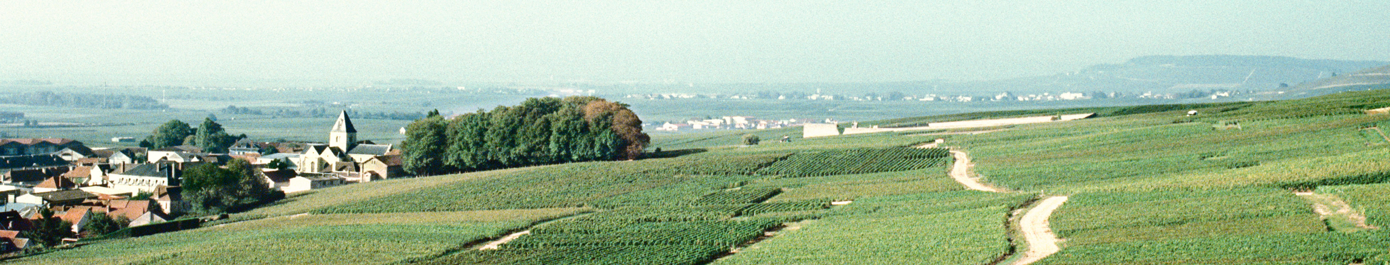 Panoramic view of a small Champagne village surrounded by rolling vineyards under a hazy morning sky in northern France.
