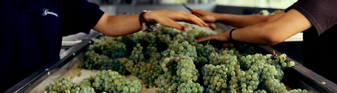 Wine Vintage Charts Berry Bros Rudd Berry Bros Rudd