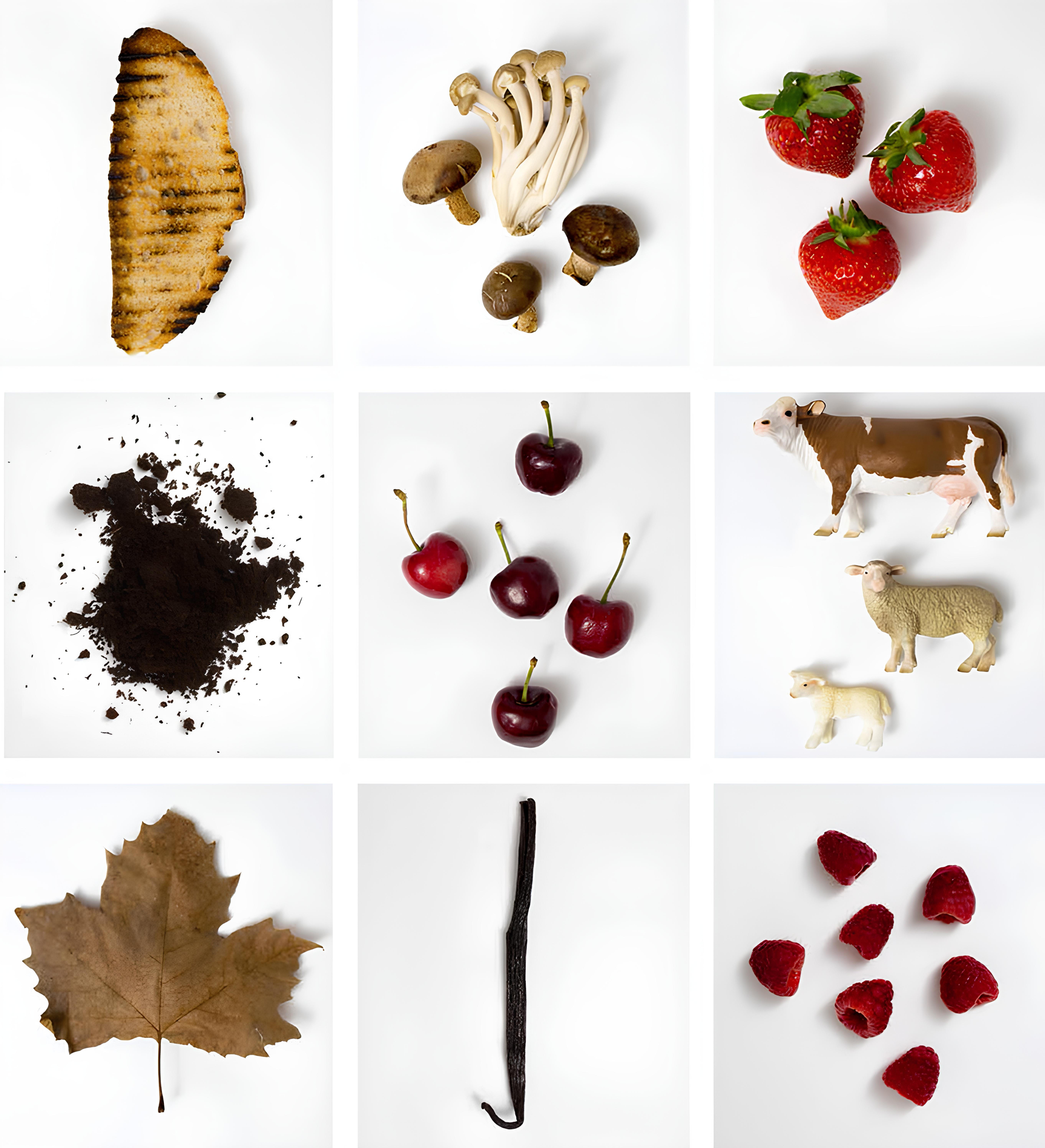 Pinot Noir flavour notes shown as images: toast, mushrooms, strawberries, coffee, cherries, dairy, leaf, vanilla, and raspberries.