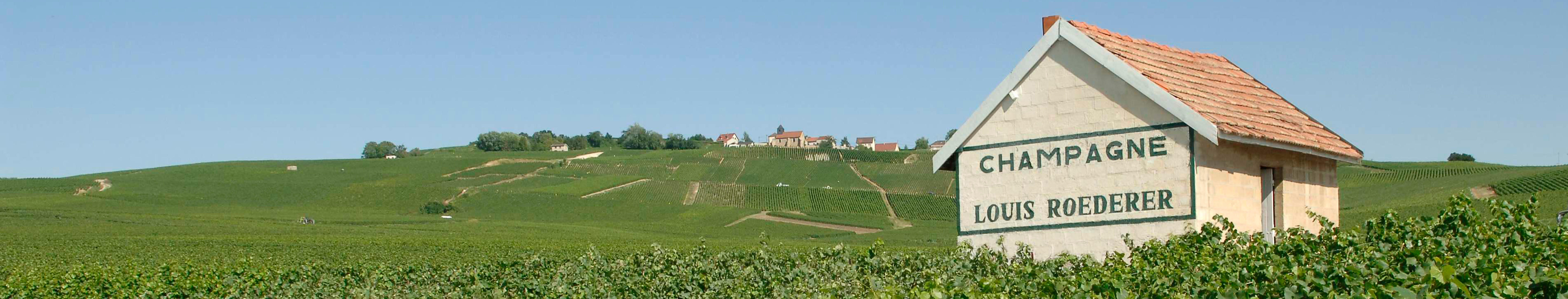 A stone building with a tiled roof in the foreground displays the words “Champagne Louis Roederer. " It is set against rolling green vineyards under a clear blue sky, with a small village visible in the distance.