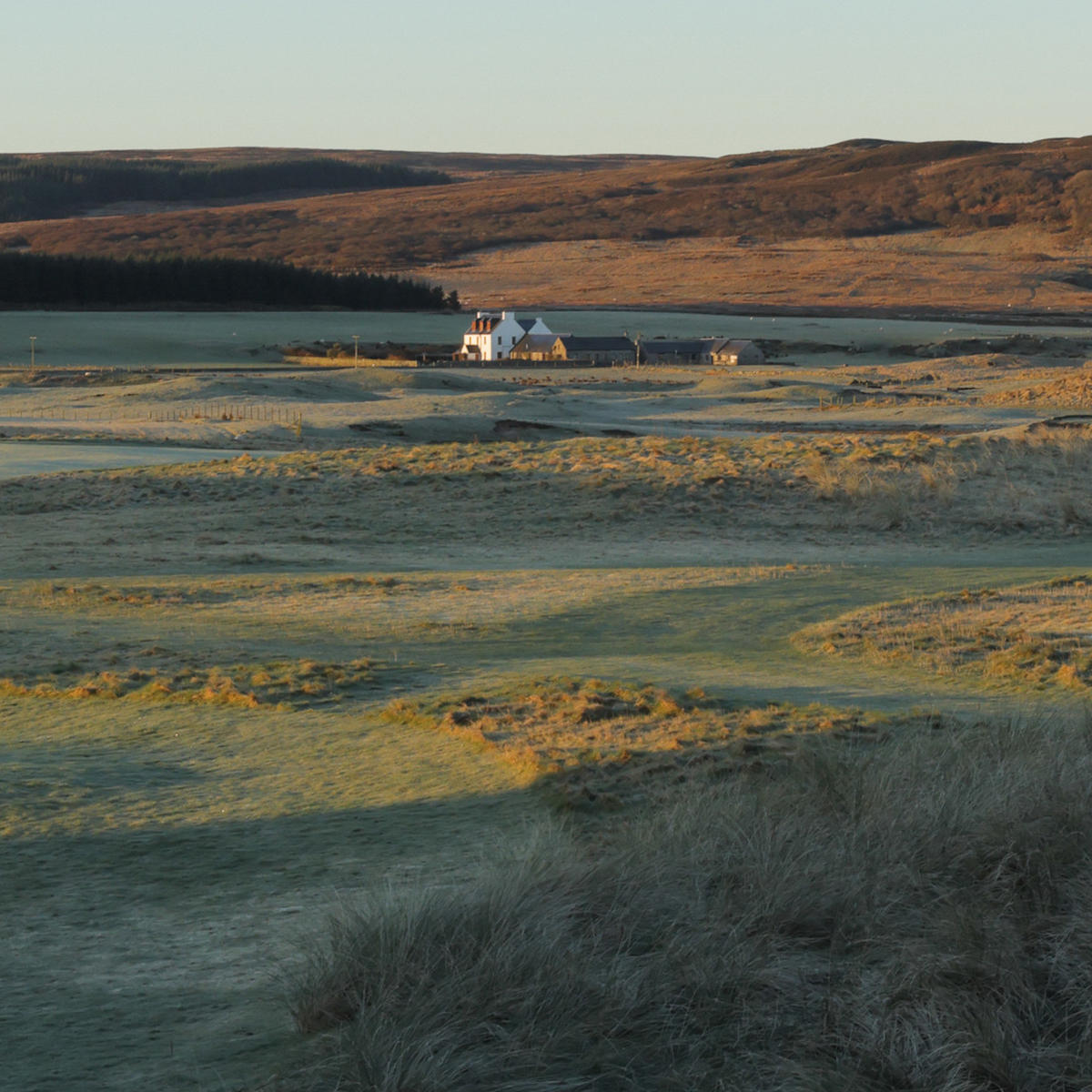 Peat in whisky — Berry Bros. & Rudd Wine Weblog