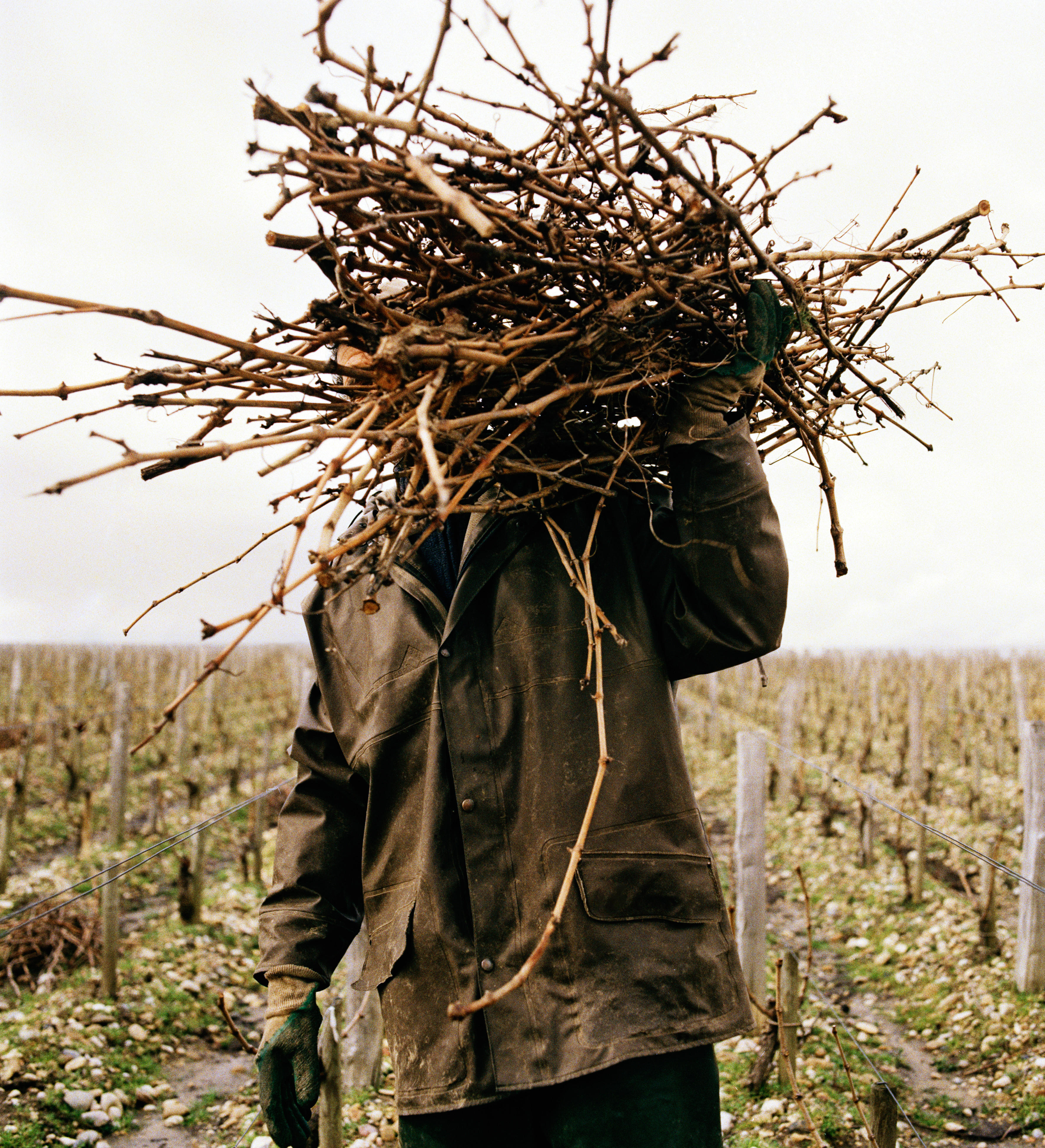 Henri Giraud Champagne