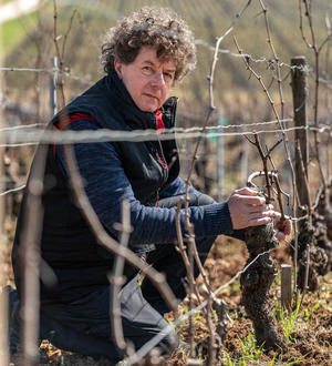 Explore the Wine range of Philippe Pacalet - Berry Bros. & Rudd Explore the Wine range of Philippe Pacalet - Berry Bros. & Rudd