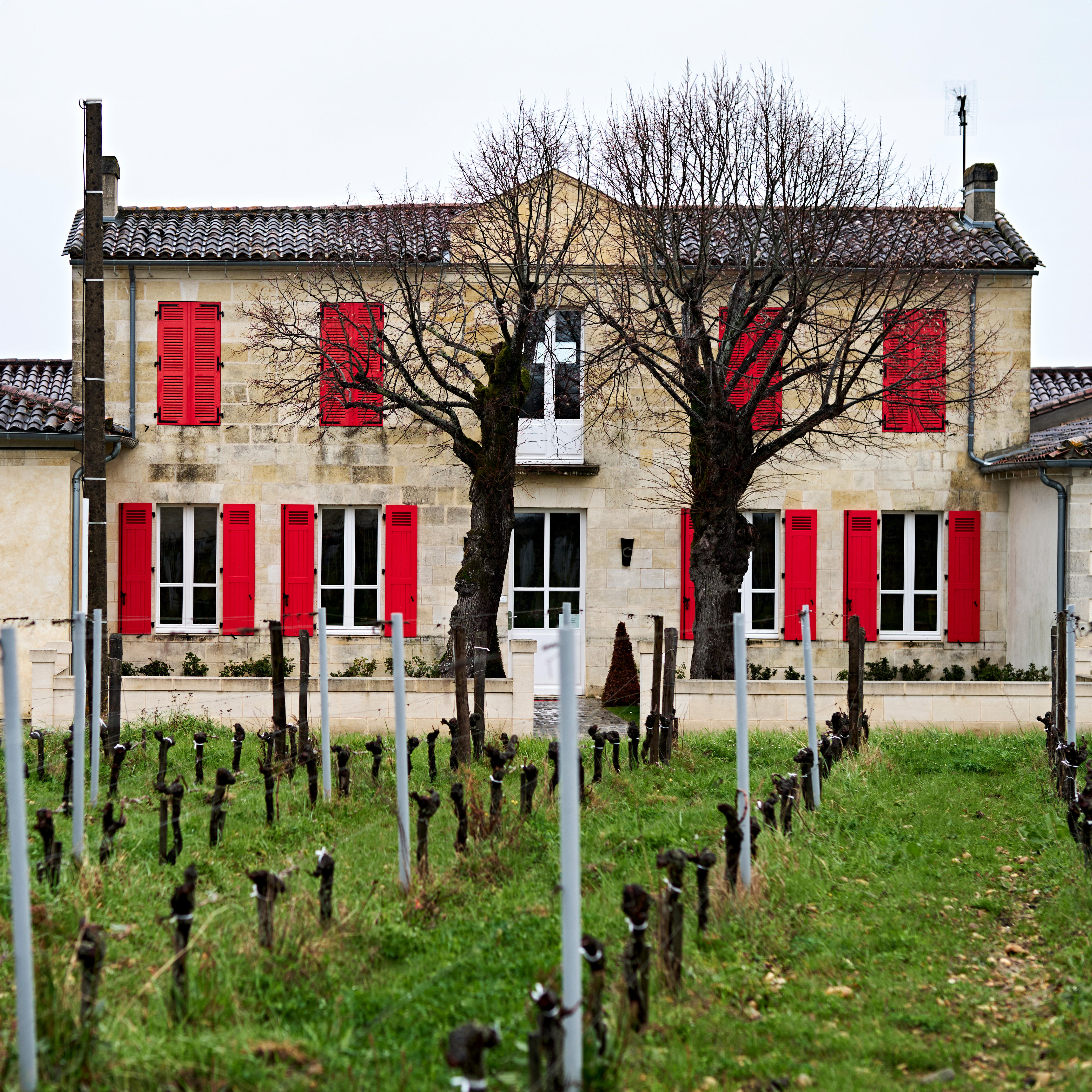 Chateau Feytit-Clinet