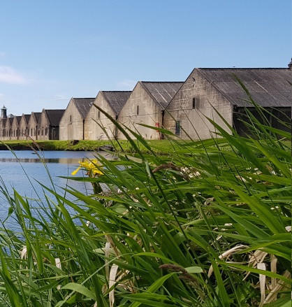 Benriach Distillery, Speyside