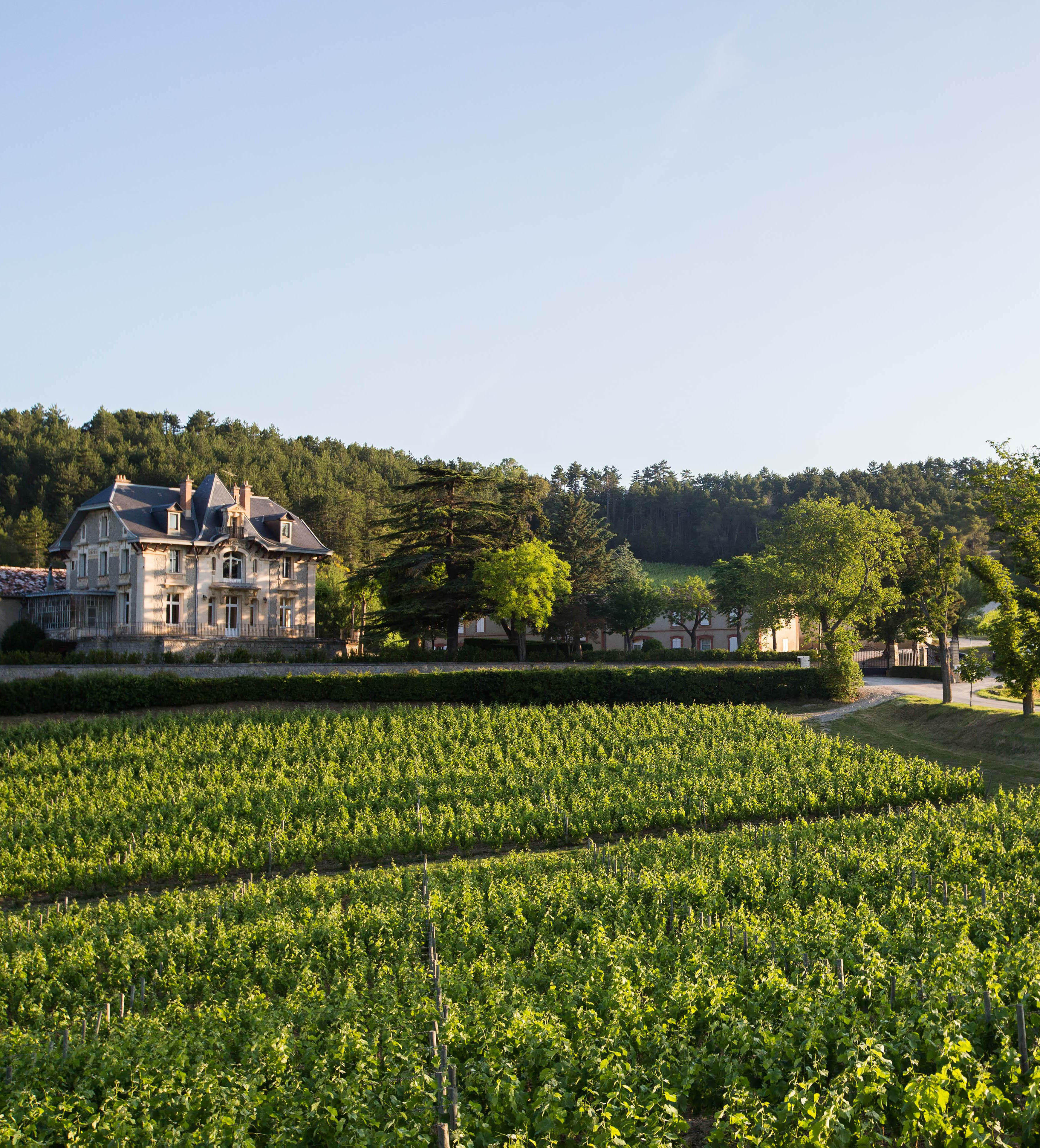 Domaine de Baronarques