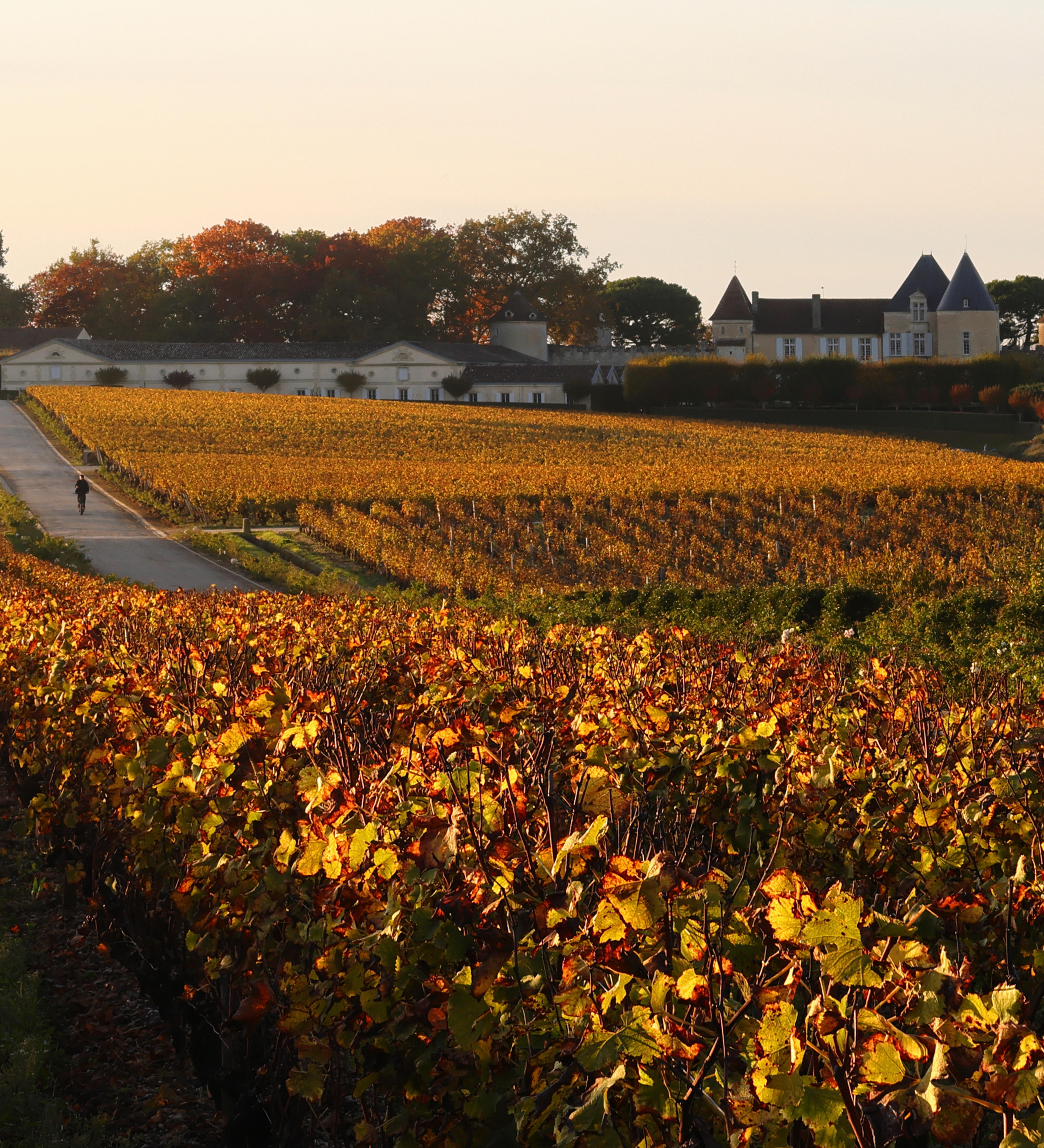 Château d’Yquem