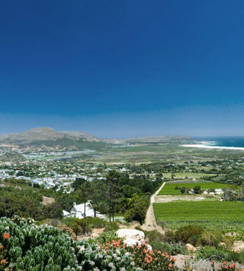 Cape Point Vineyards