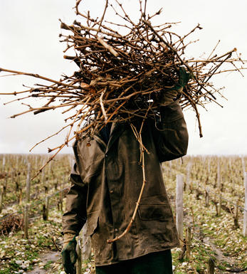 Scarecrow Wine