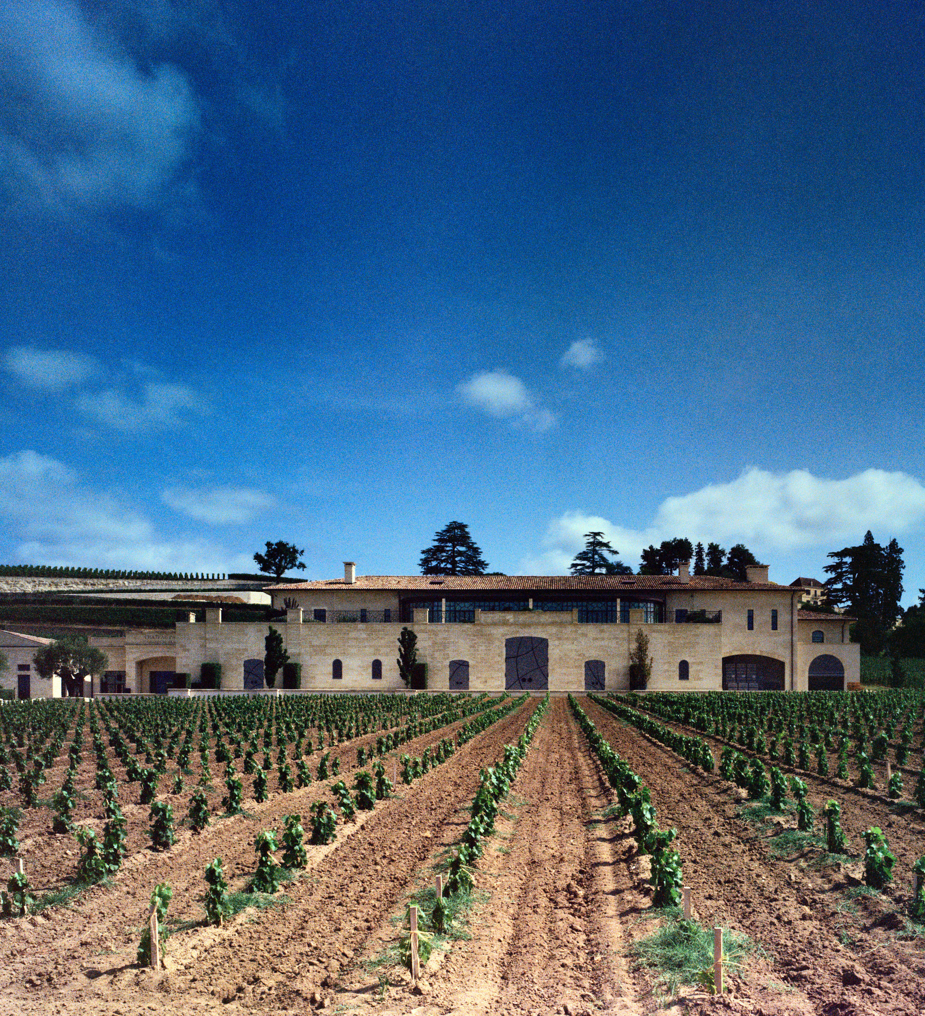 Chateau Pavie Decesse