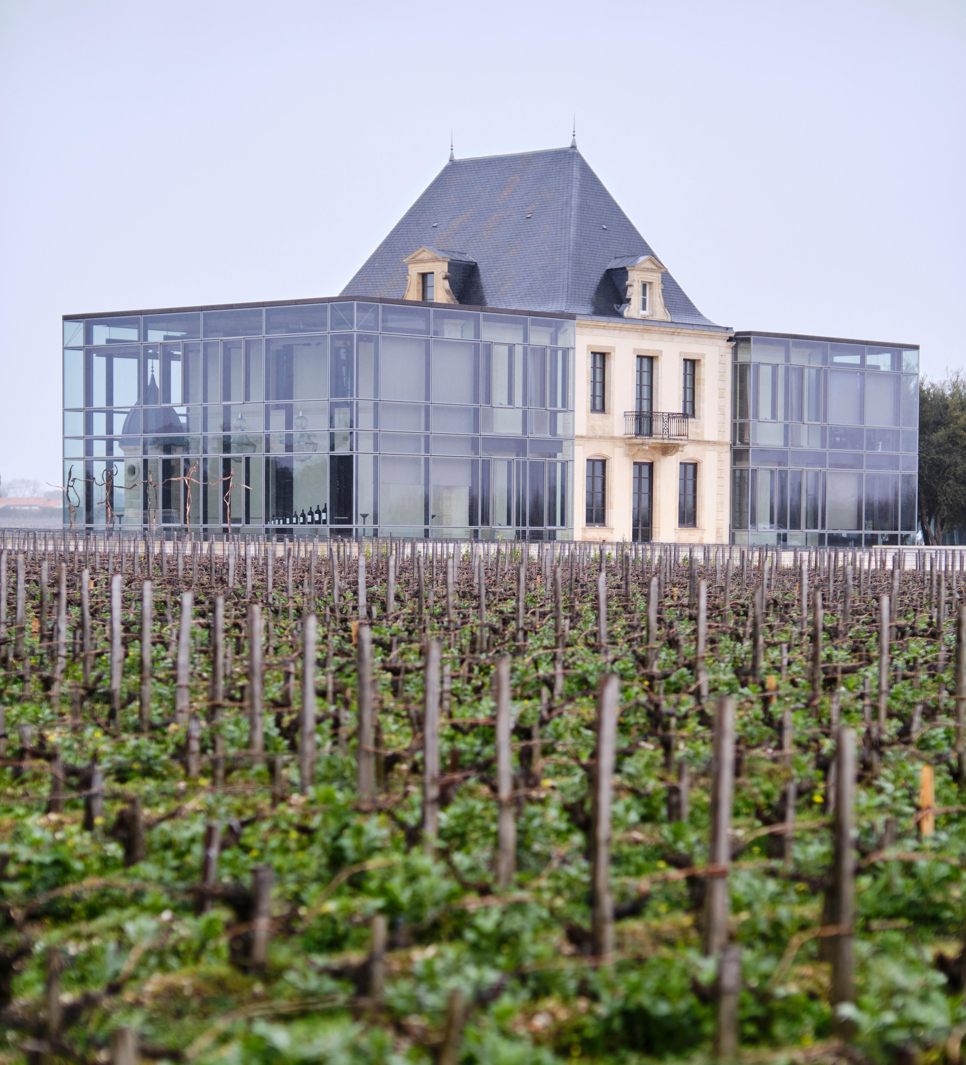 Chateau Pedesclaux