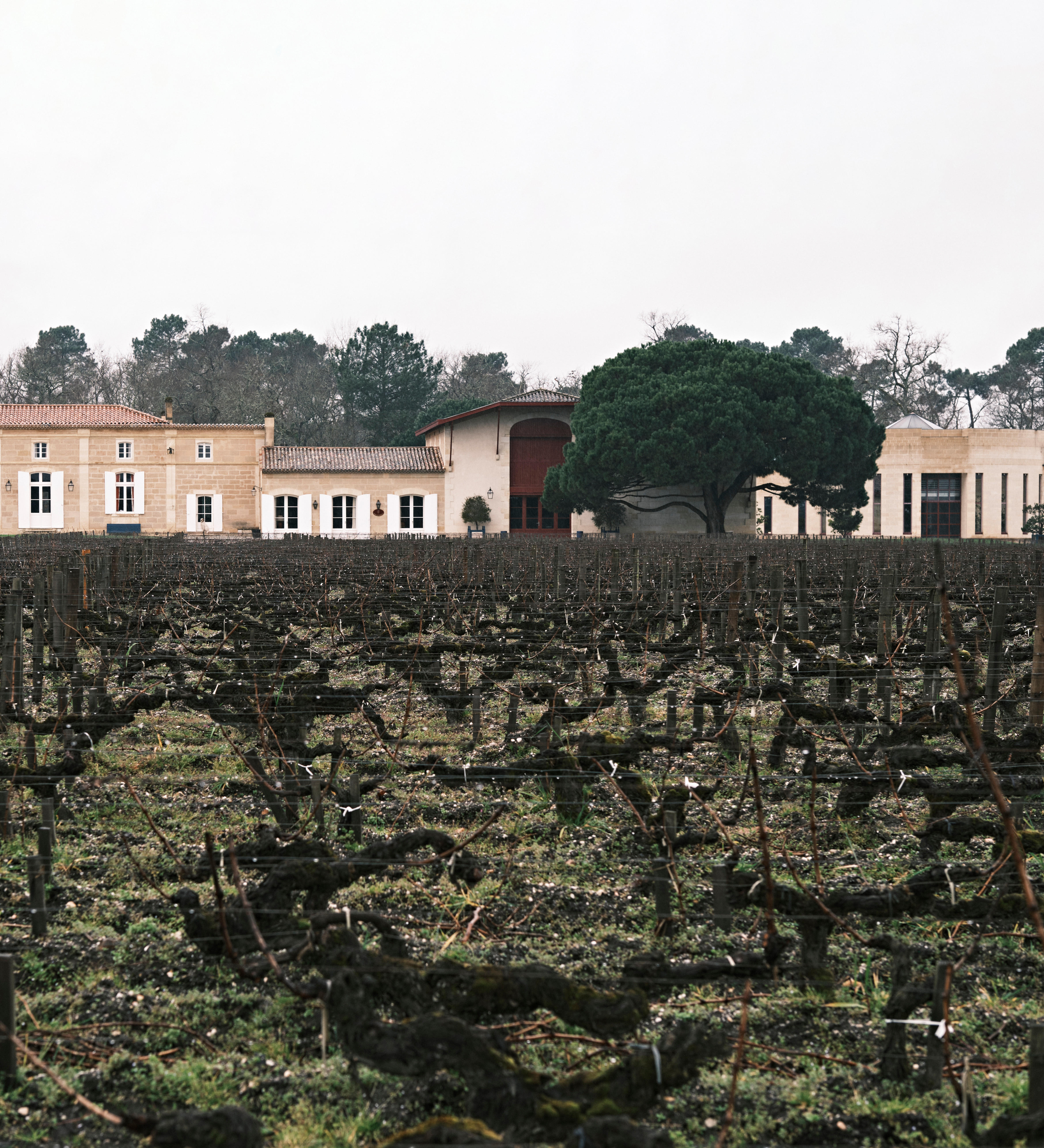 Domaine de Chevalier