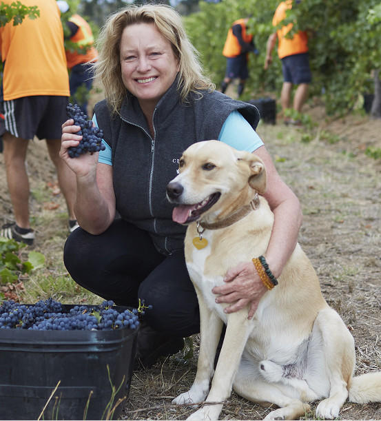 Cullen Wines