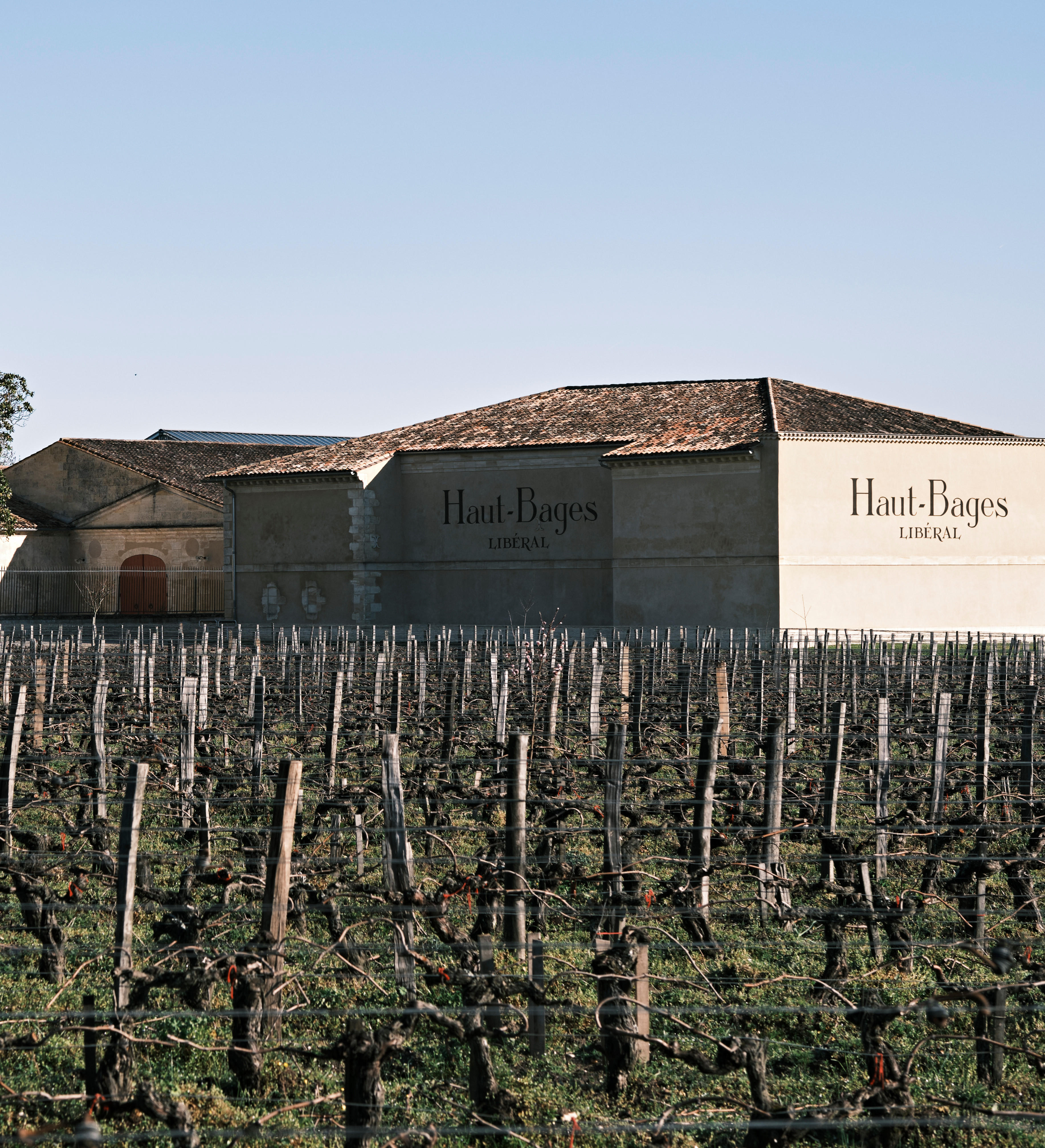 Château Haut-Bages Libéral