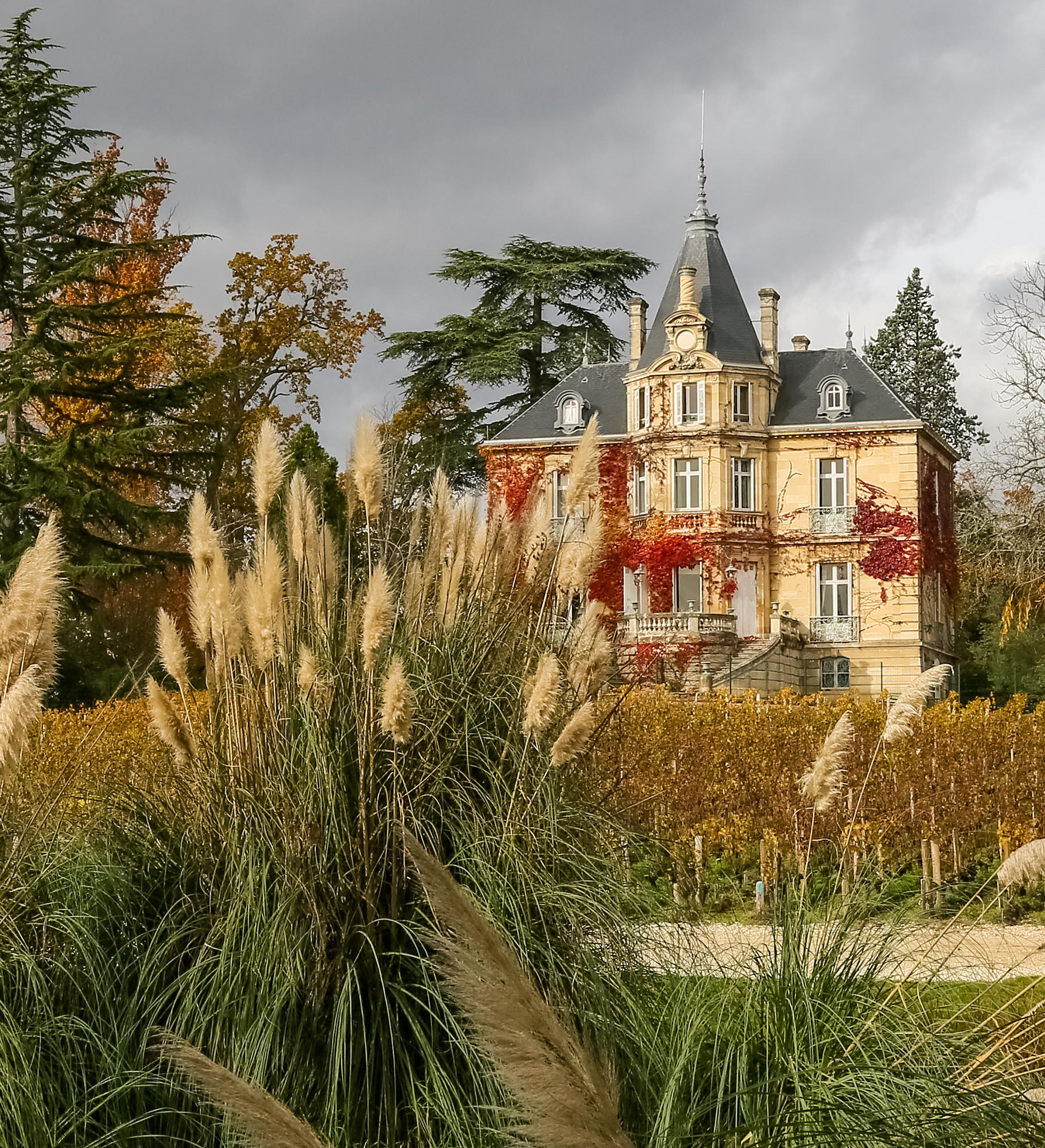 Château les Carmes Haut-Brion