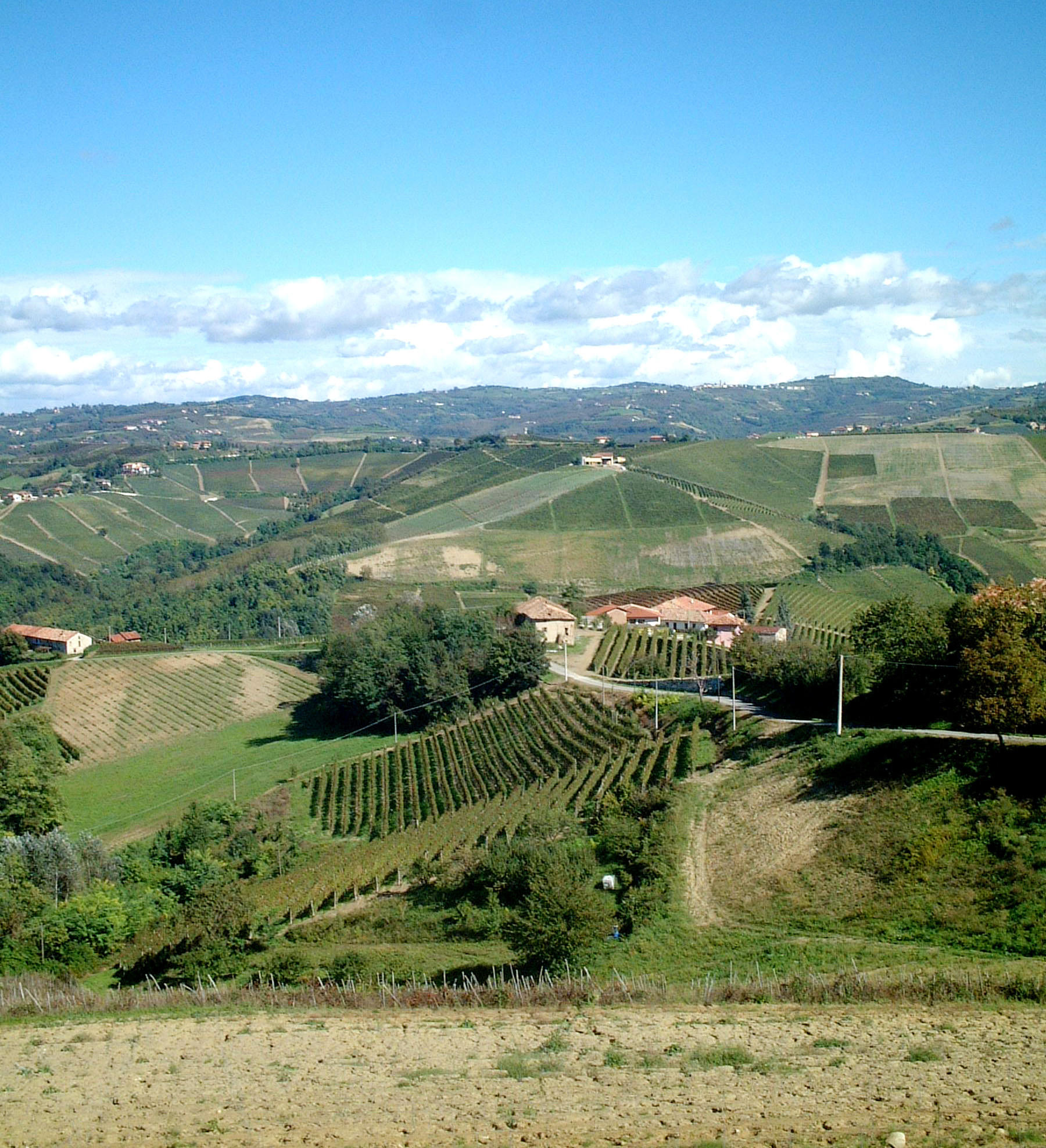 Poderi Aldo Conterno