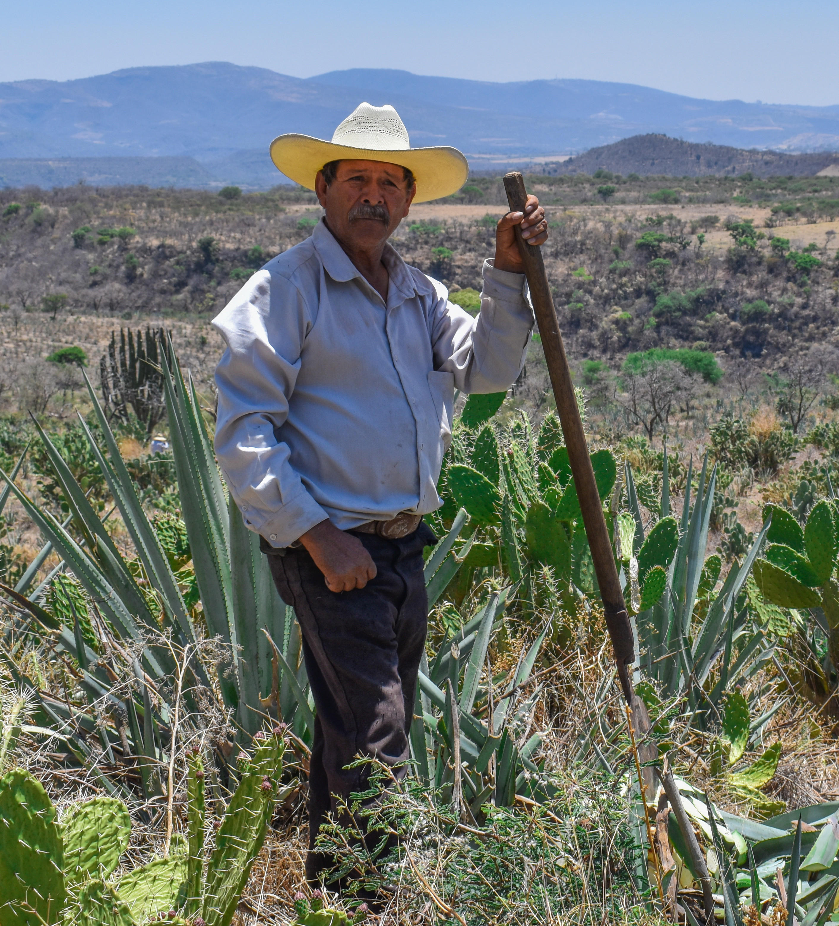 La Dama Distillery