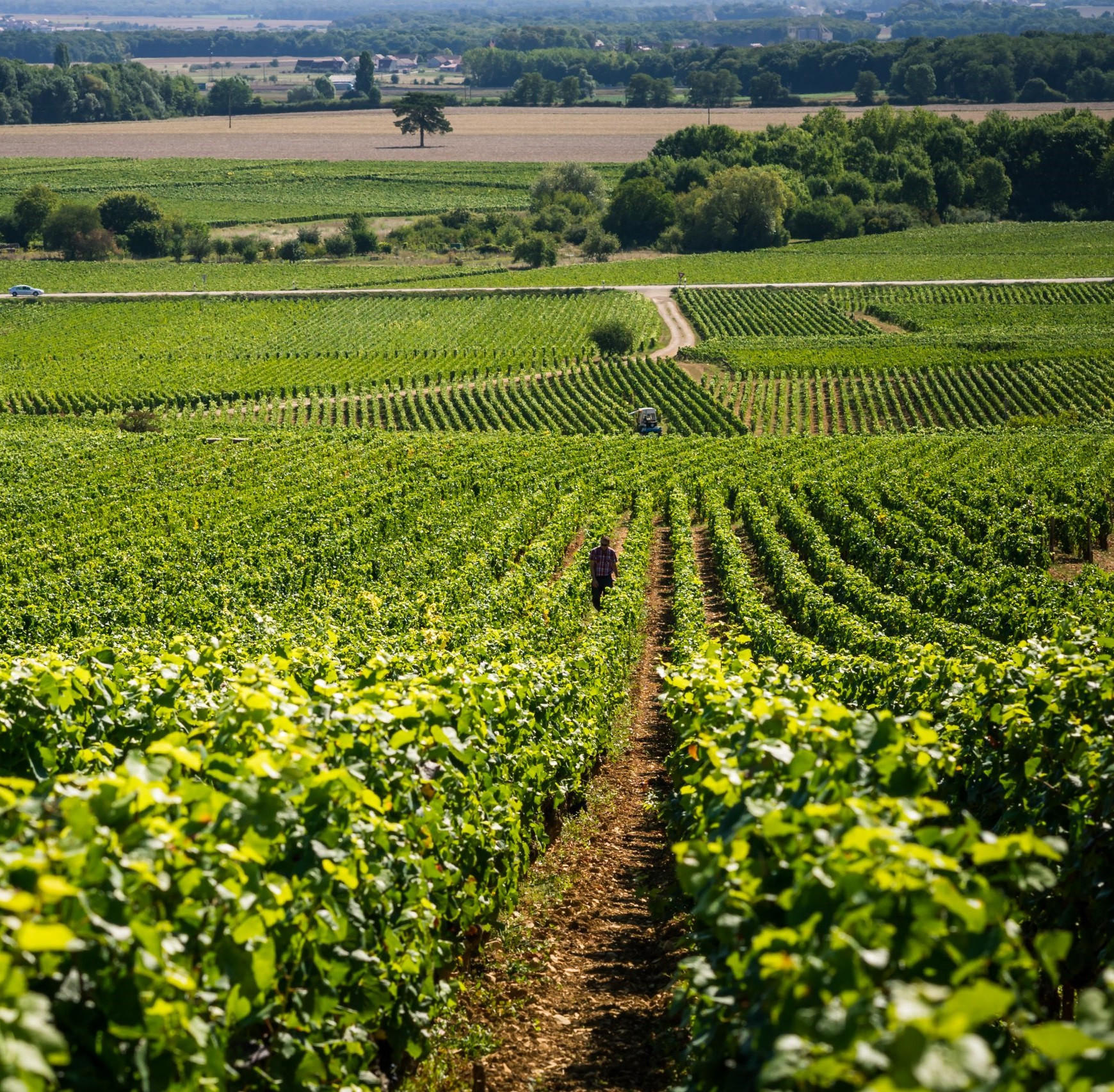 Domaine François Legros