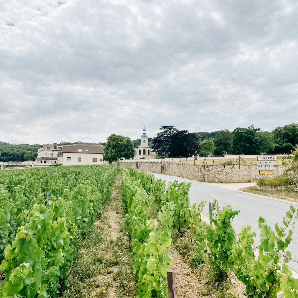 Champagne Penet-Chardonnet