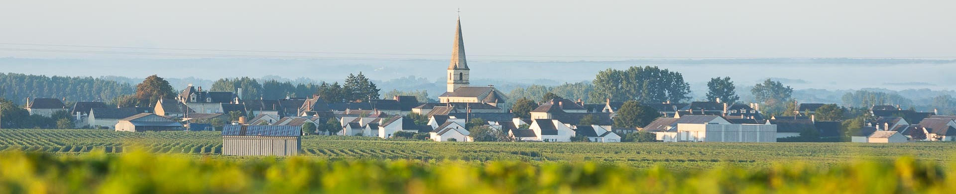 Bourgueil