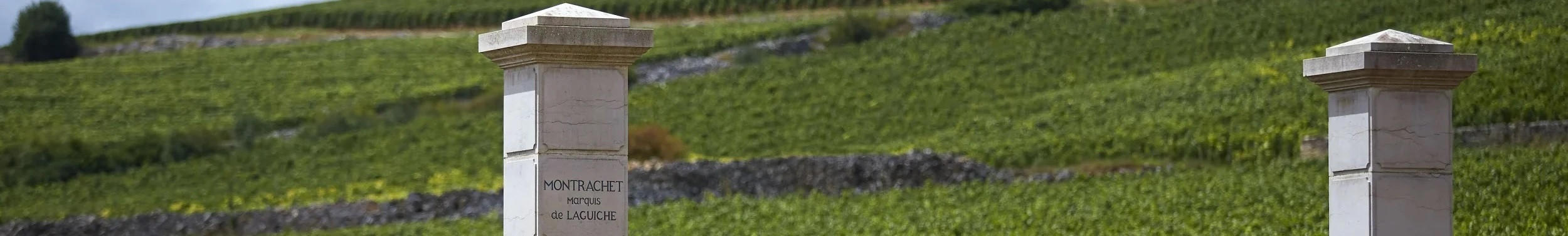 Montrachet