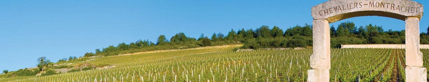 Chevalier Montrachet