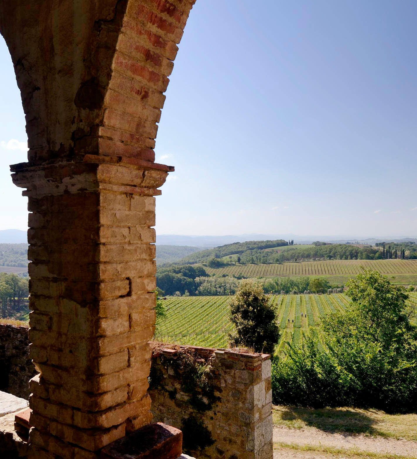 2007 Ornellaia, Bolgheri Superiore, Tuscany, Italy