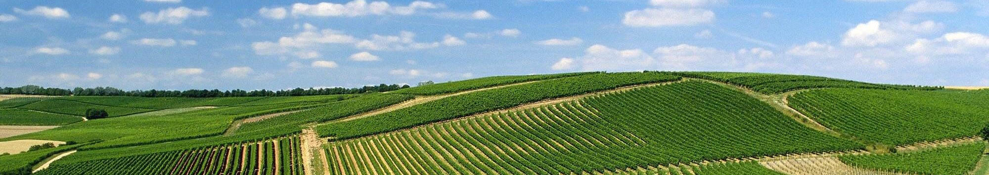 Rheinhessen