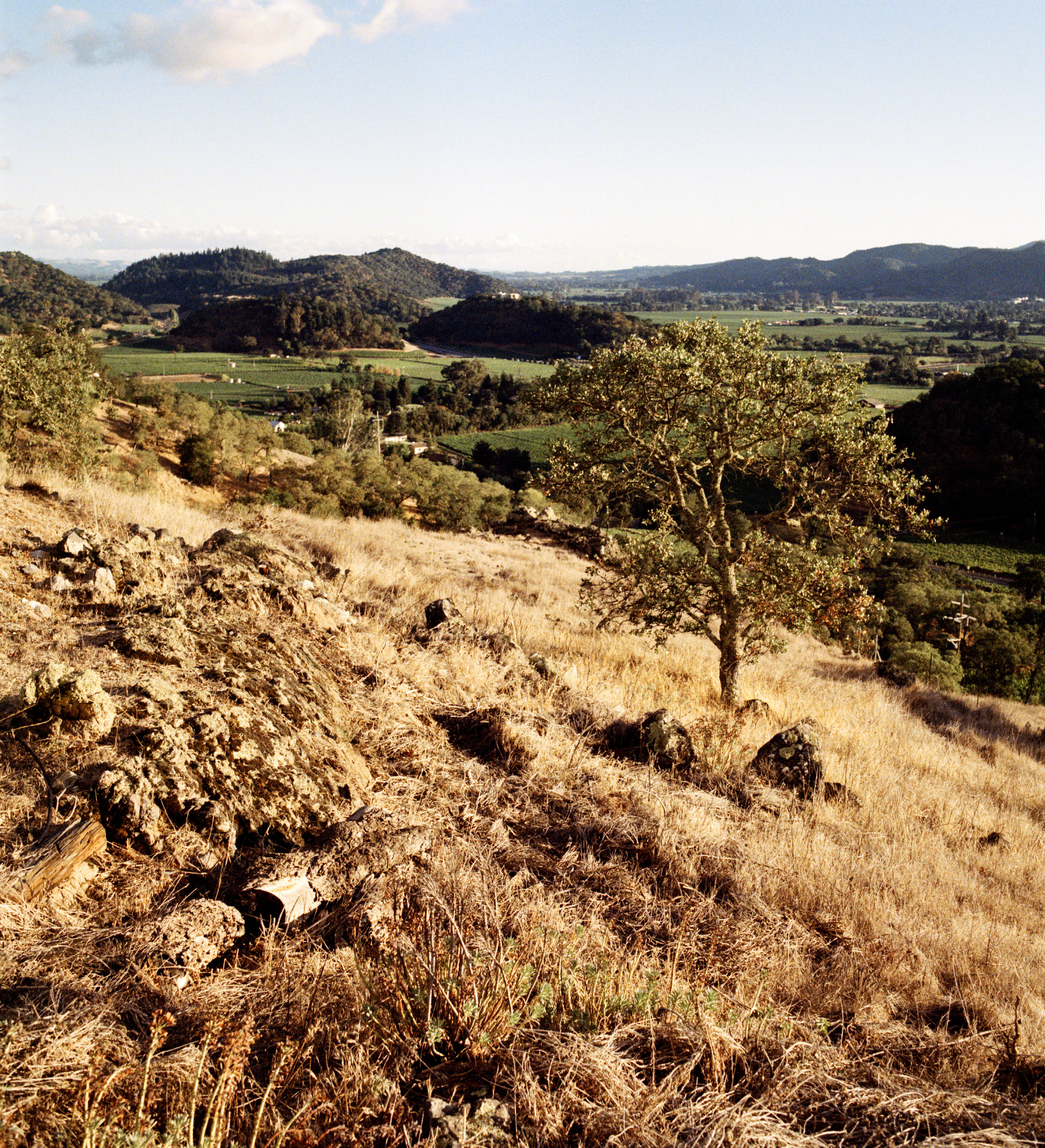 Santa Barbara County