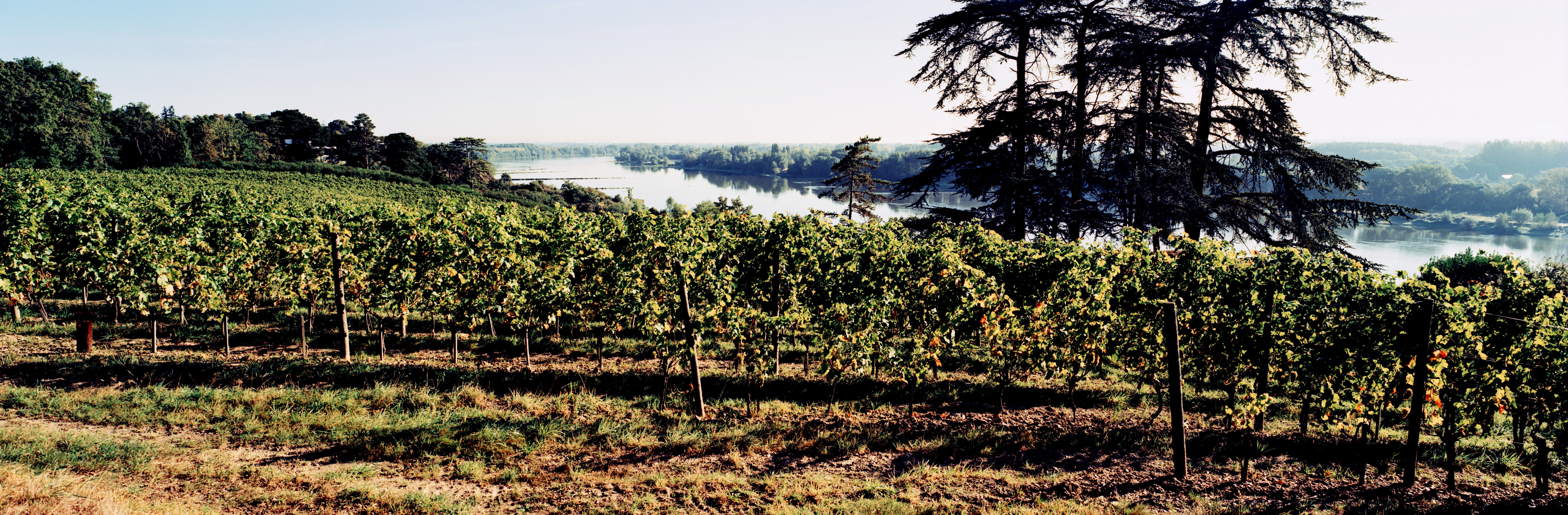 Loire Valley