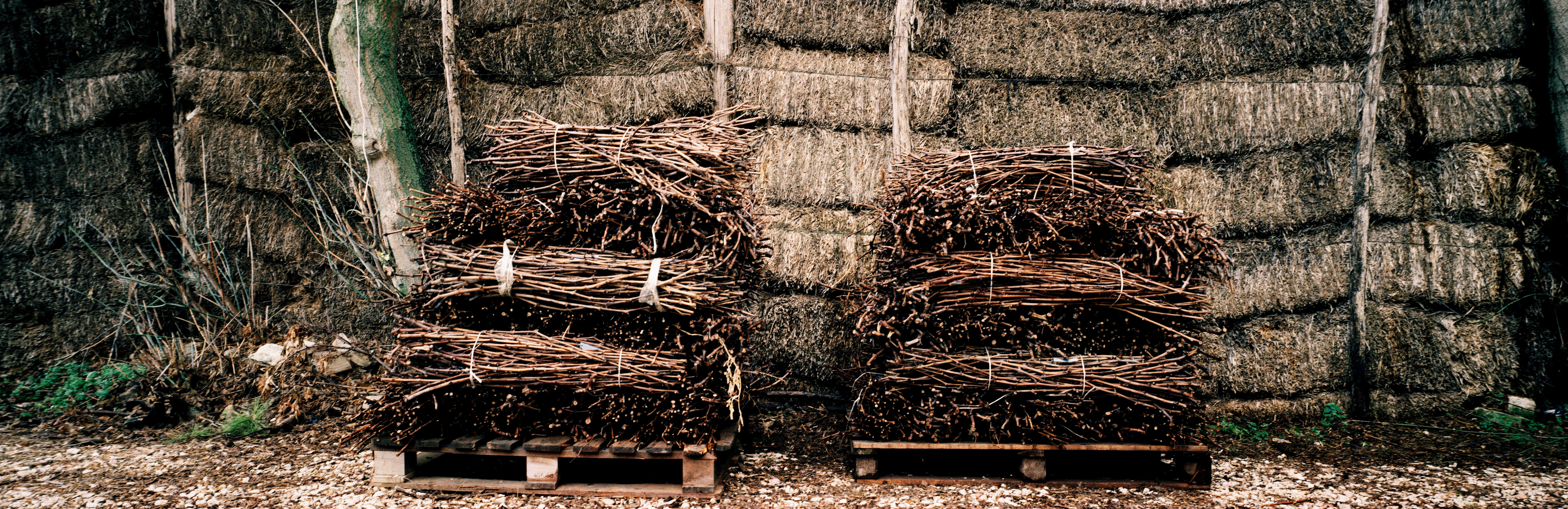 Languedoc-Roussillon