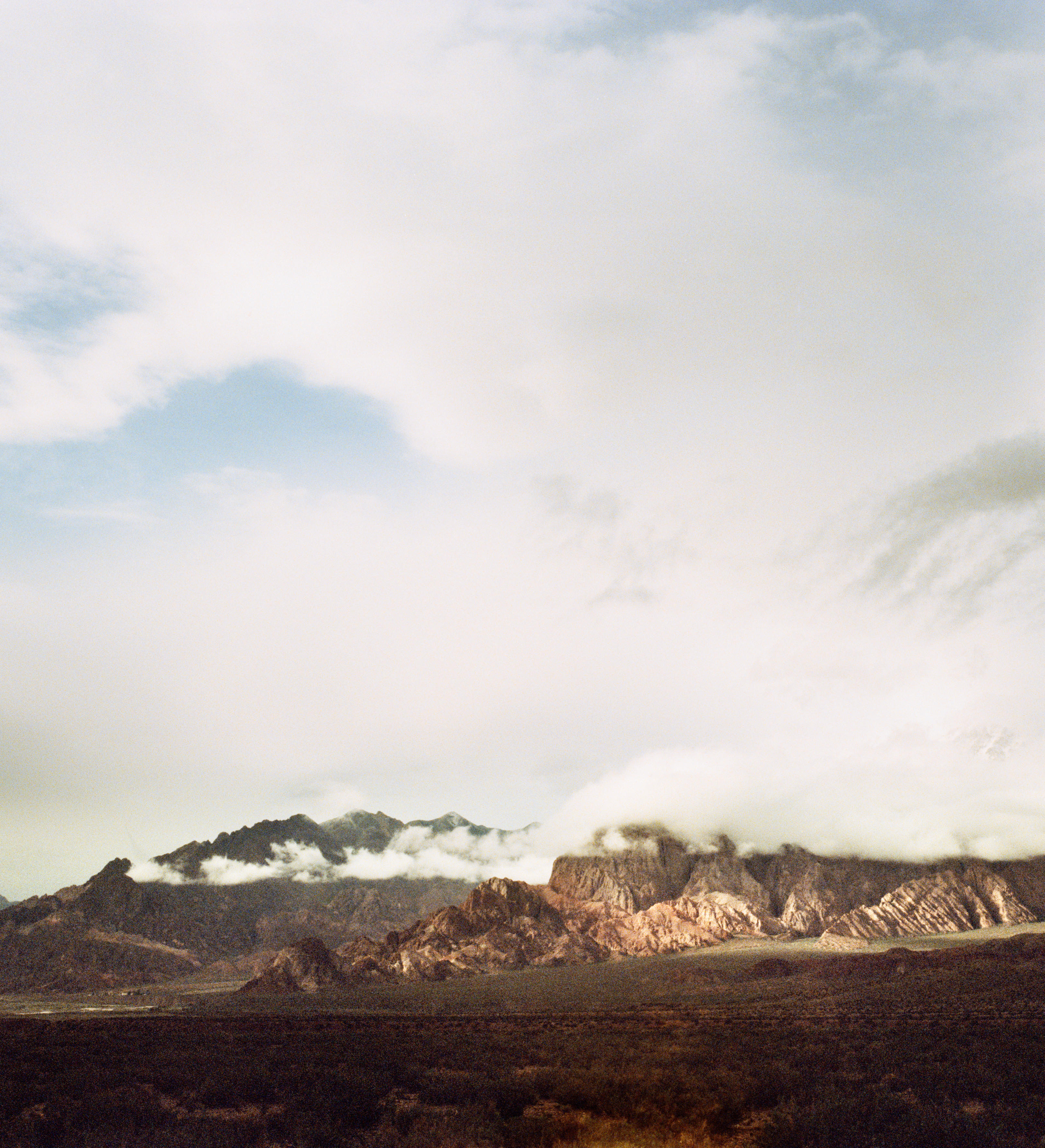 Vineyards of Mendoza with the Andes mountains rising in the background, showcasing rows of grapevines under a clear sky.
