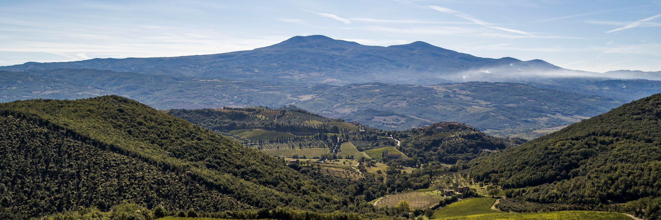 2019 Brunello di Montalcino _ An unforgettable vintage with immediate pleasure to be found