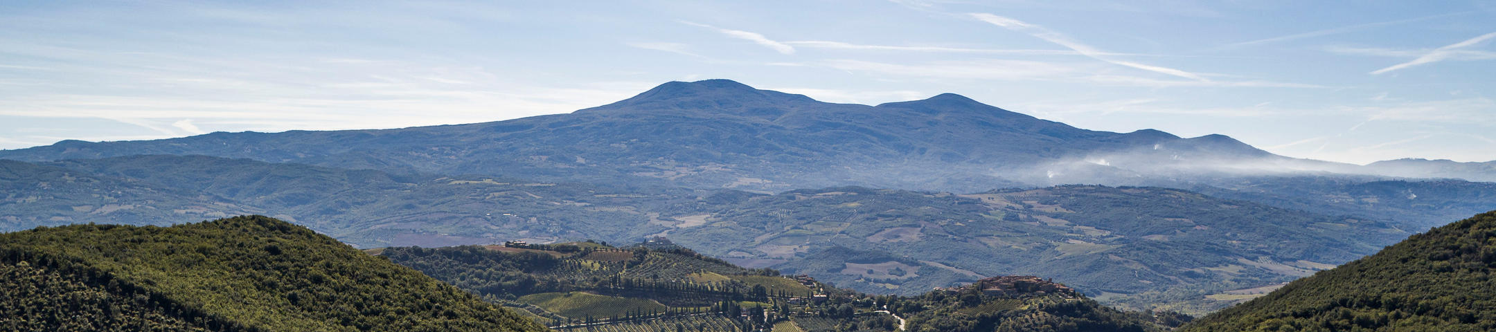 2019 Brunello di Montalcino