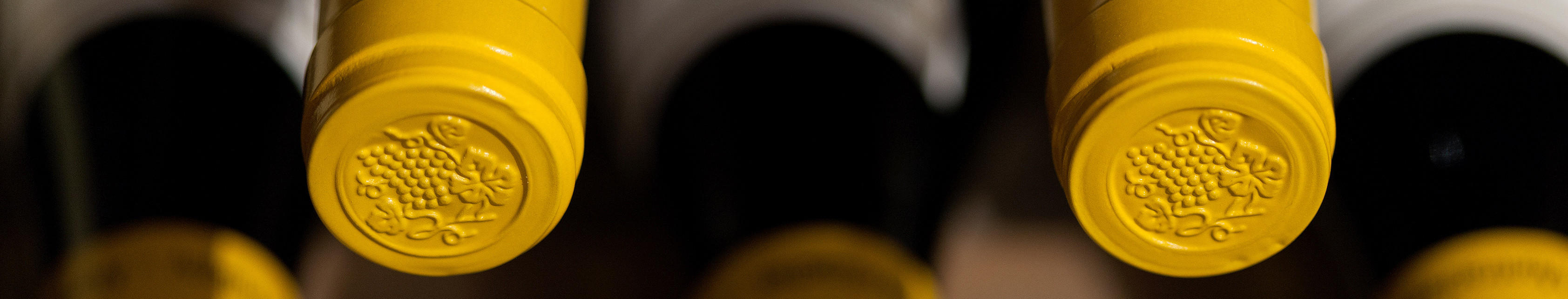 White wine to lay down