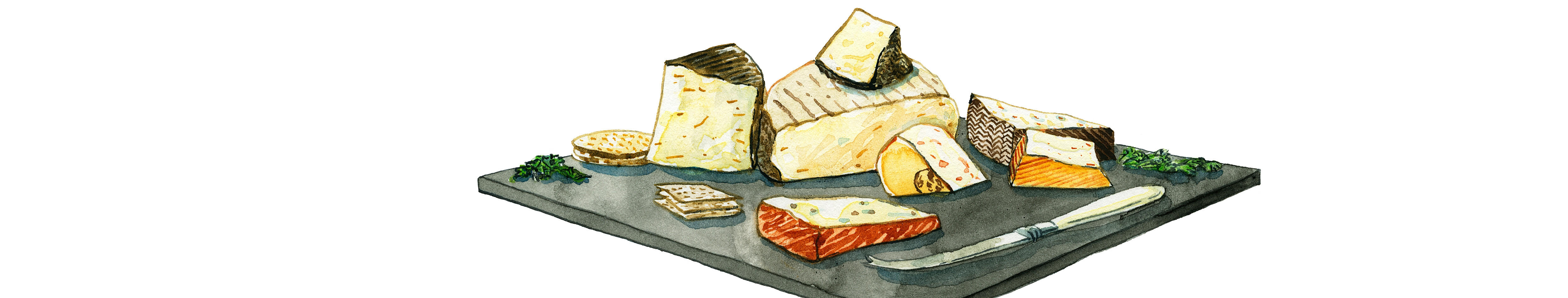 Illustration of a cheeseboard with assorted cheeses, crackers, herbs and a cheese knife on a dark slate serving tray.